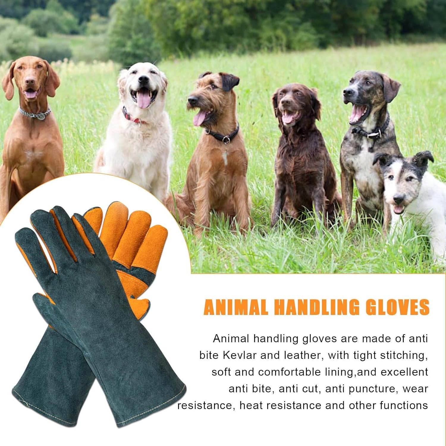 Animal Handling Gloves - Heavy Duty Protective Gauntlets for Pet Grooming | Puncture Resistant Bite Sleeves | Scratch Proof Hand Guards for Safe Wildlife &Livestock Management - Image 3