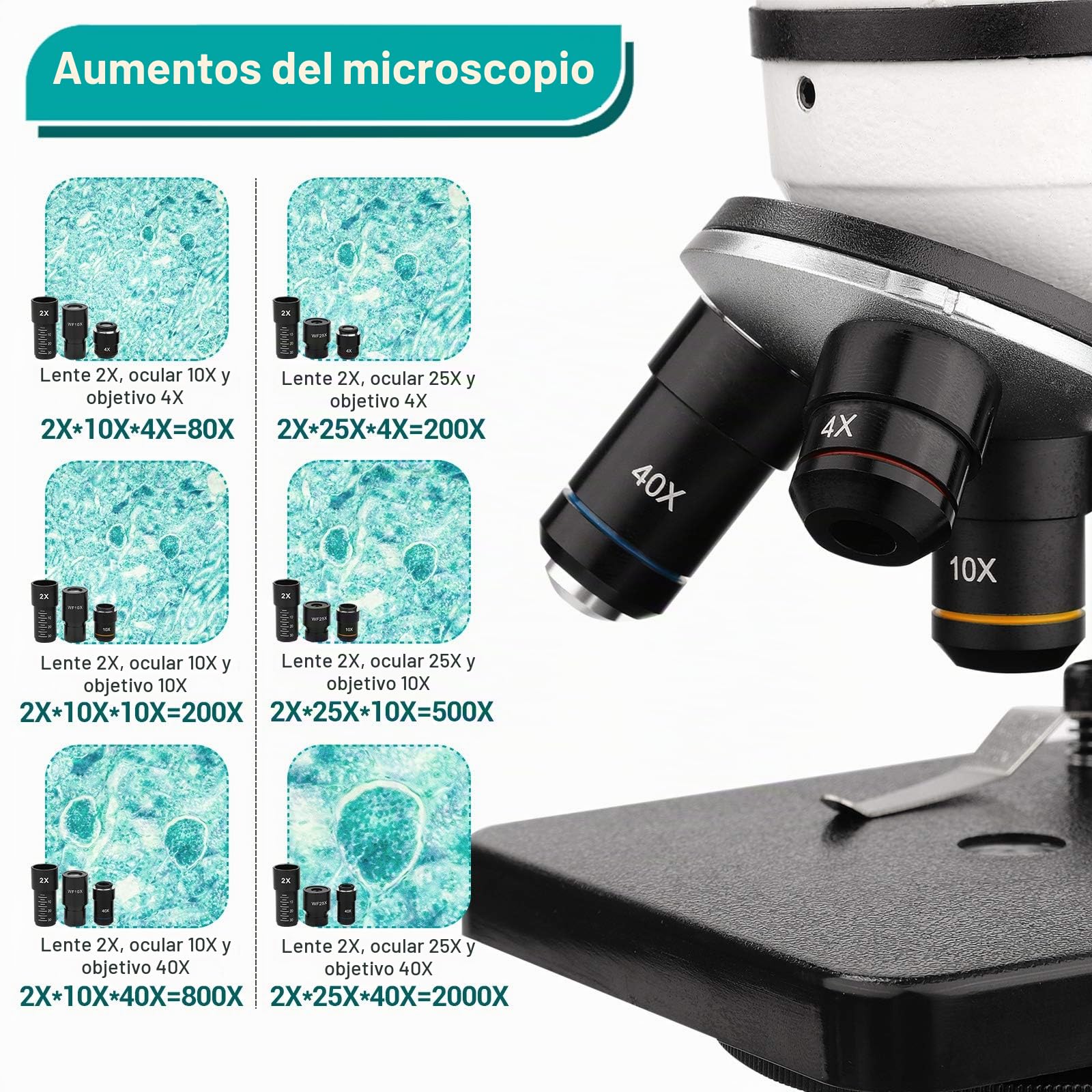 Microscopio para Niños 40X-2000X Microscopio Profesional, con Adaptador de Teléfono, Juego de Portaobjetos de Microscopio para Laboratorio Escolar, Hogar, Investigación Científica Biológica
