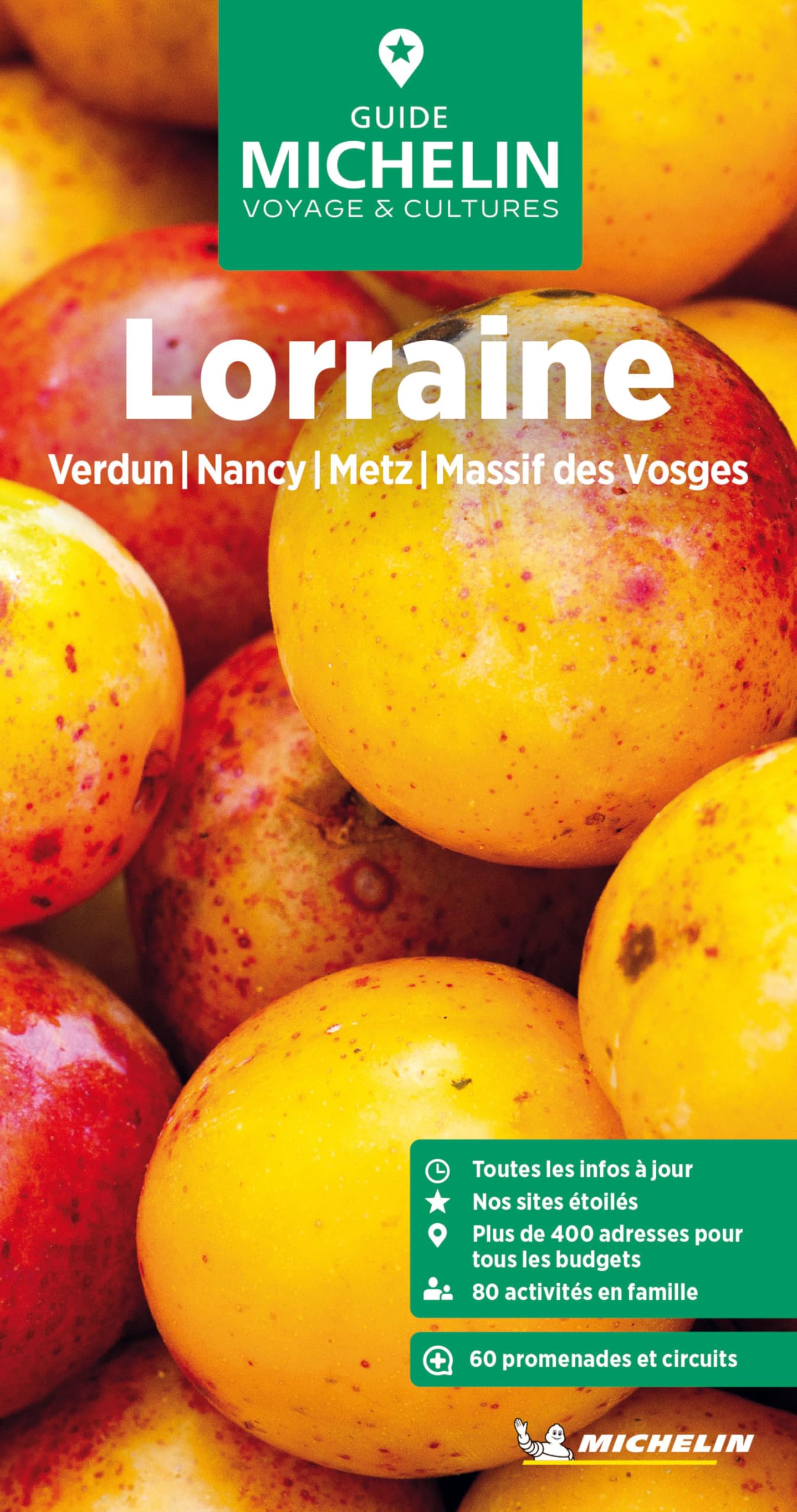 LORRAINE GUIDE VERT: Verdun, Nancy, Metz, Massif des Vosges
