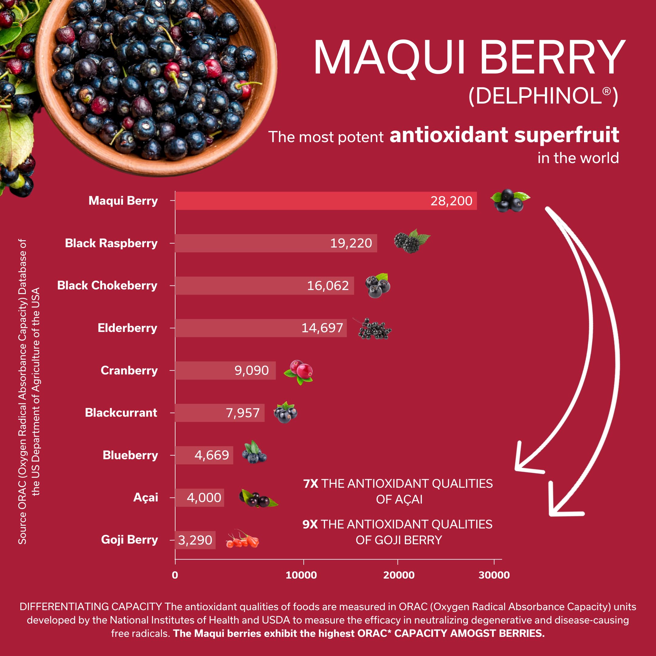 Daily Circulation | Super Antioxidants Supplement & Daily Circulatory Support | Maqui Berry (Delphinol), French Maritime Pine Bark (Pycnogenol), Ginger Root Extracts | 30 Servings — Amazon image 5