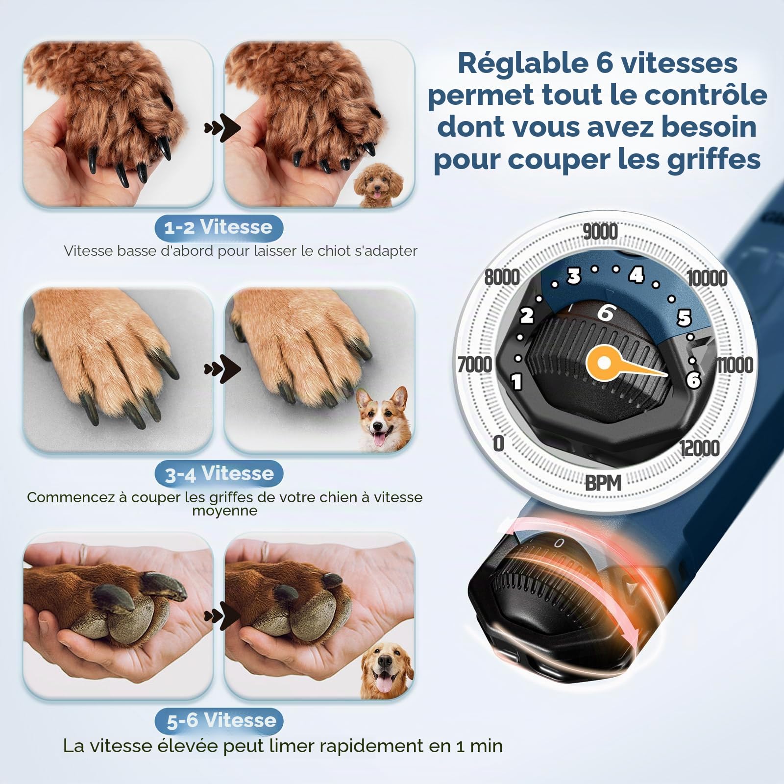 Gimars Lime à Ongles pour Chien Réglable 6 Vitesses Broyeur à Ongles pour Chien avec Double Lumière LED, Broyeur à Ongles pour Animaux De Compagnie, Rechargeable Lime Ongles Chien par USB