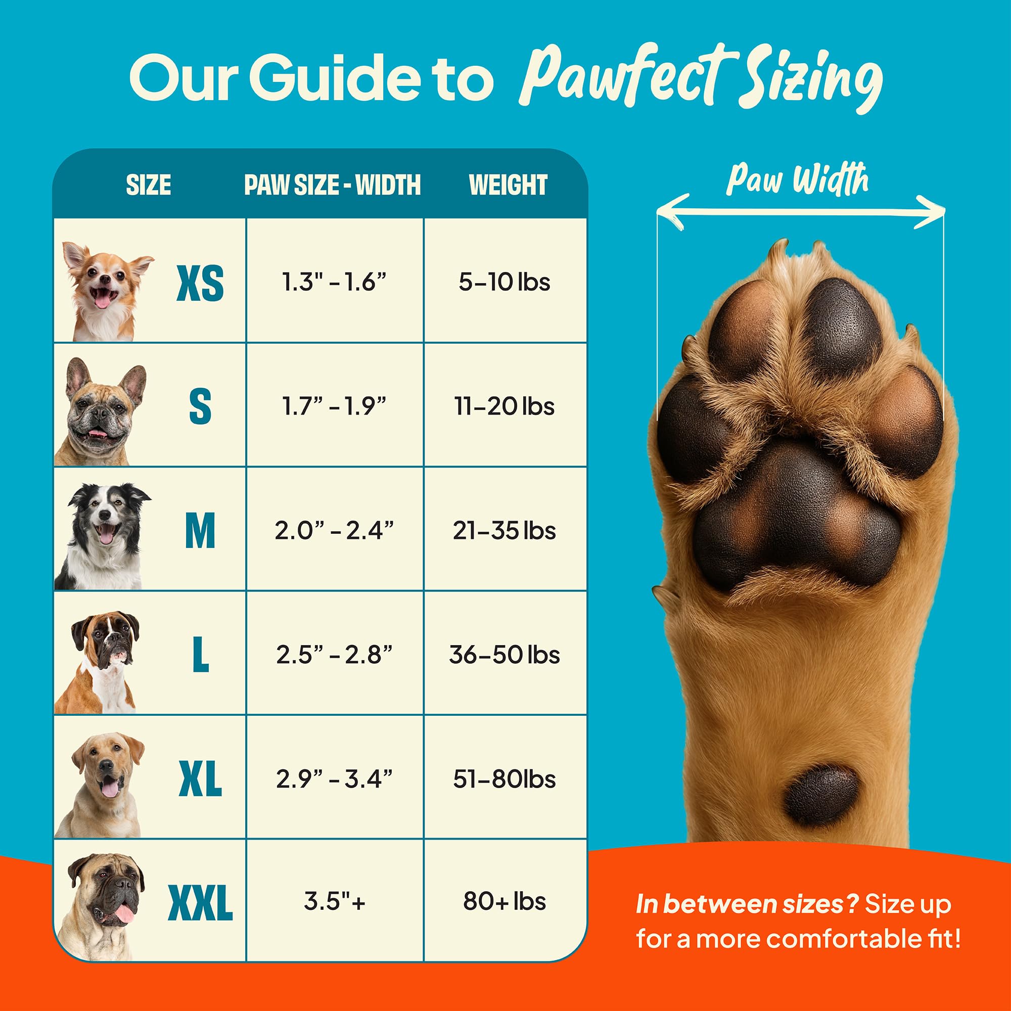 Calzini antiscivolo per cani, (XS-XXL), confezione da 4 (S)