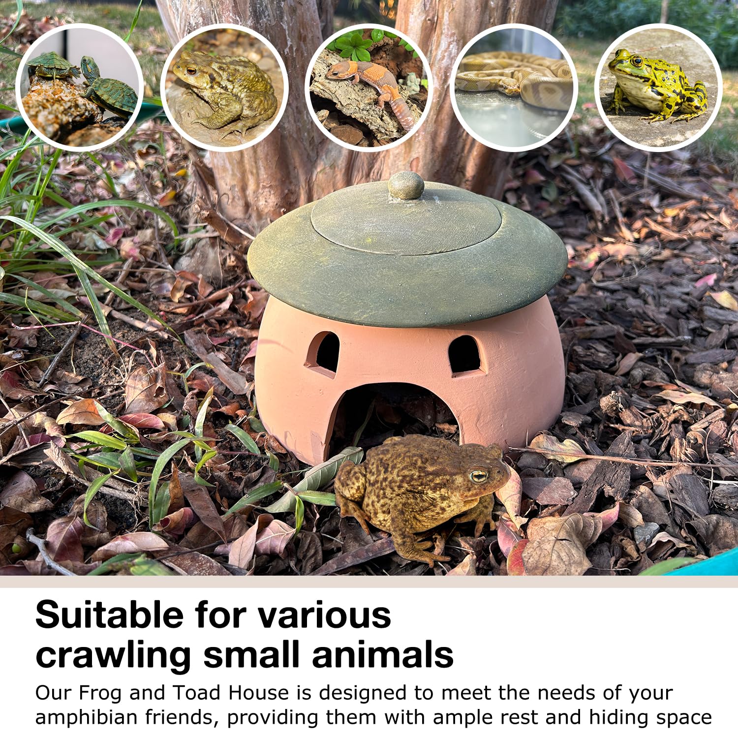 Terracotta Toad Outside Garden