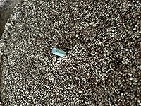 Review Image by Behindherblueeyes Behindherblueeyes