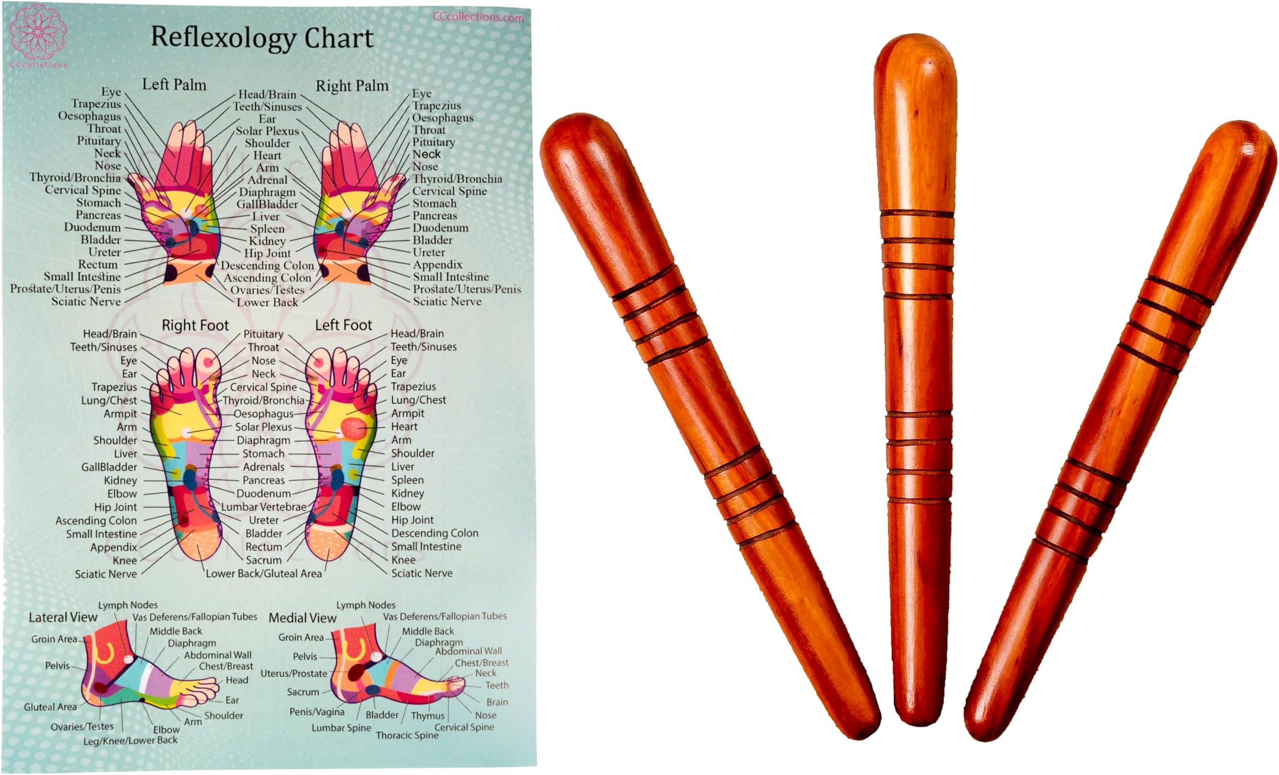 Massage toolsets with Chart for Professionals Foot Hand Massage Wooden Stick Reflexology (English, Set B)