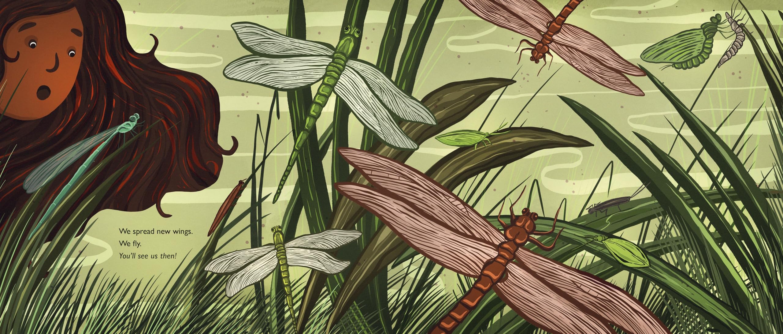 When You See Us: The Mysterious World of Aquatic Insects