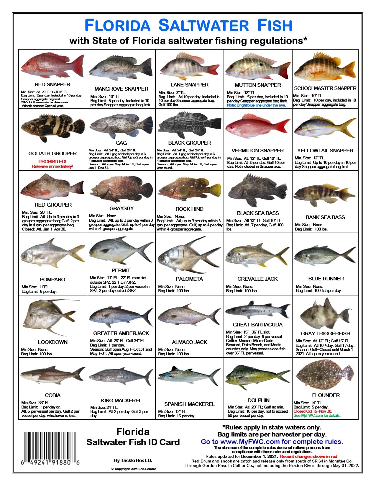 Buy Florida Saltwater Fish Identification Card Set Three Waterproof Cards Showing 60 Common