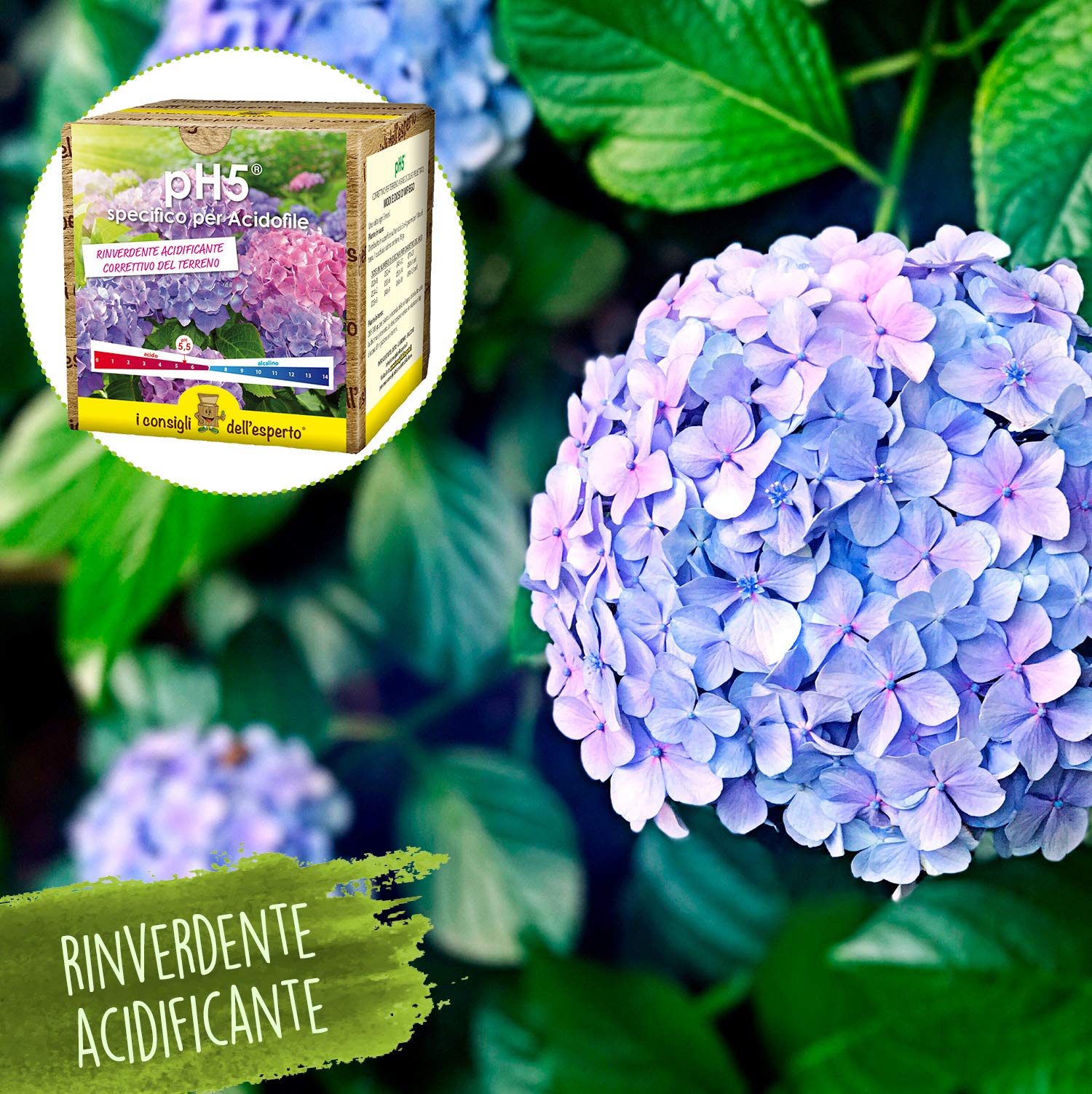 I Consigli dell'Esperto - PH5 Correttivo Terreno a Base di Zolfo 50% Rinverdente - Migliora Nutrienti e Struttura del Suolo - Effetto Rinverdente Durevole - per Giardini Orti e Acidofile - 0.7 kg
