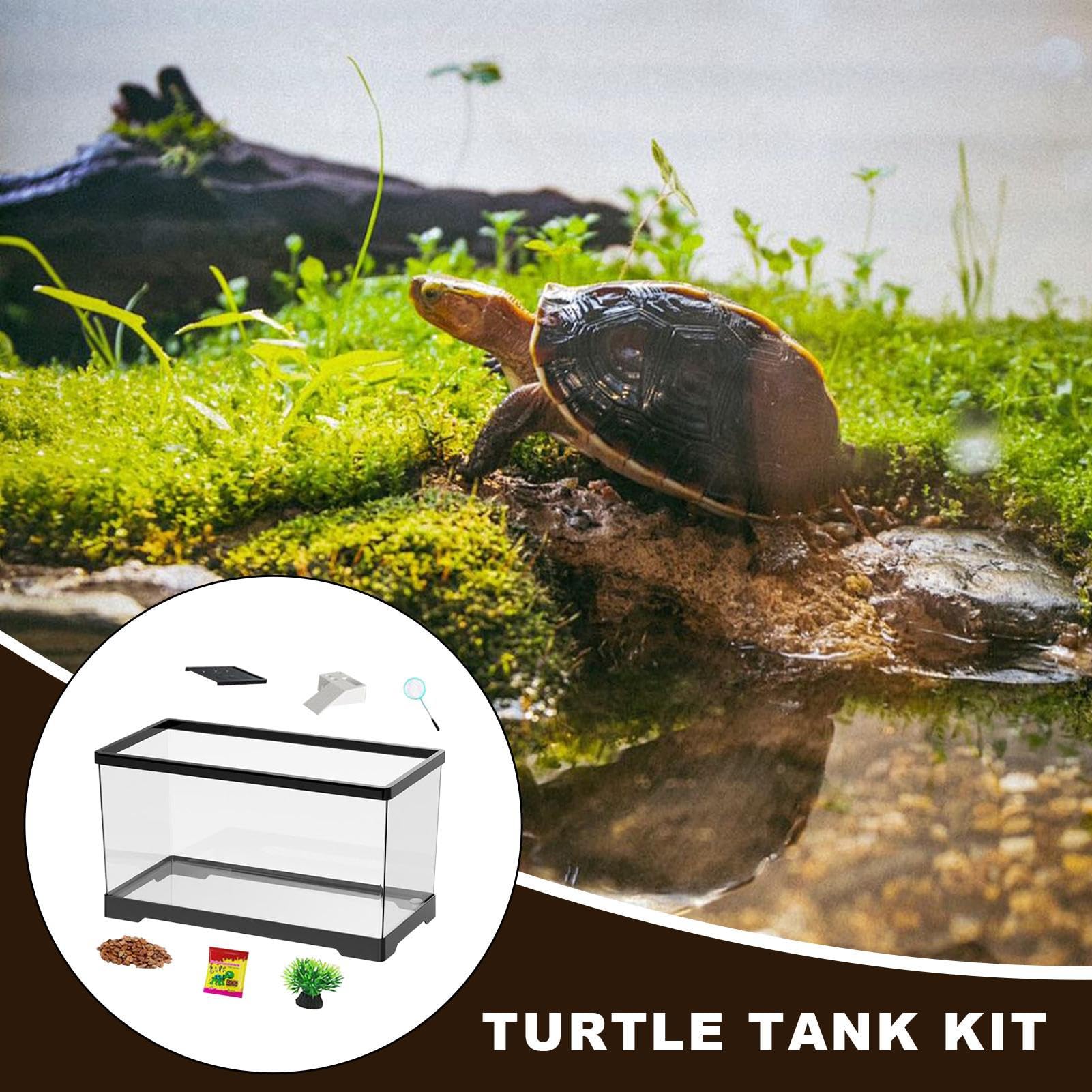 Kit Vasca Per Tartarughe | Terrario Per Rettili Con Di Drenaggio,Terrario Con Drenaggio Inferiore Per Anfibi Rettili Rane Granchi Tartarughe Terrestri Gechi E Paguri