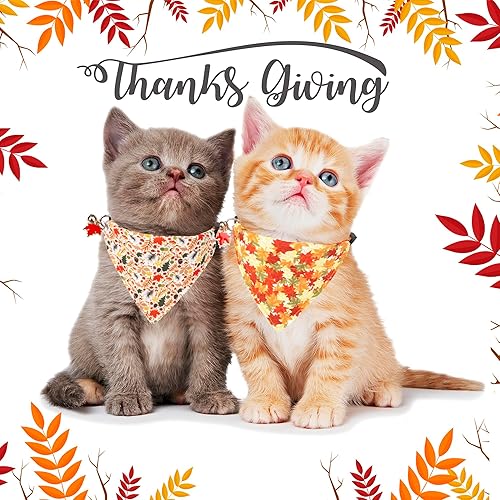 Miniatura 3 de ADOGGYGO Collares de gato de otoño con bandana extraíble, ajustable para otoño, Acción de Gracias, lindo collar de gato con hojas de otoño para