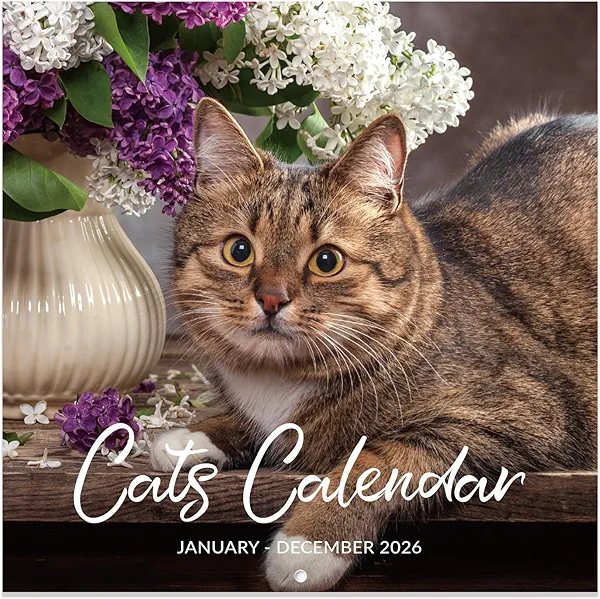 2026 Calendar - Wall Calendar 2026, Jan.2026 - Dec.2026, 12" x 24" (Open), 2026 Wall Calendar with Unruled Blocks for Organizing & Planning - Cutie Cat