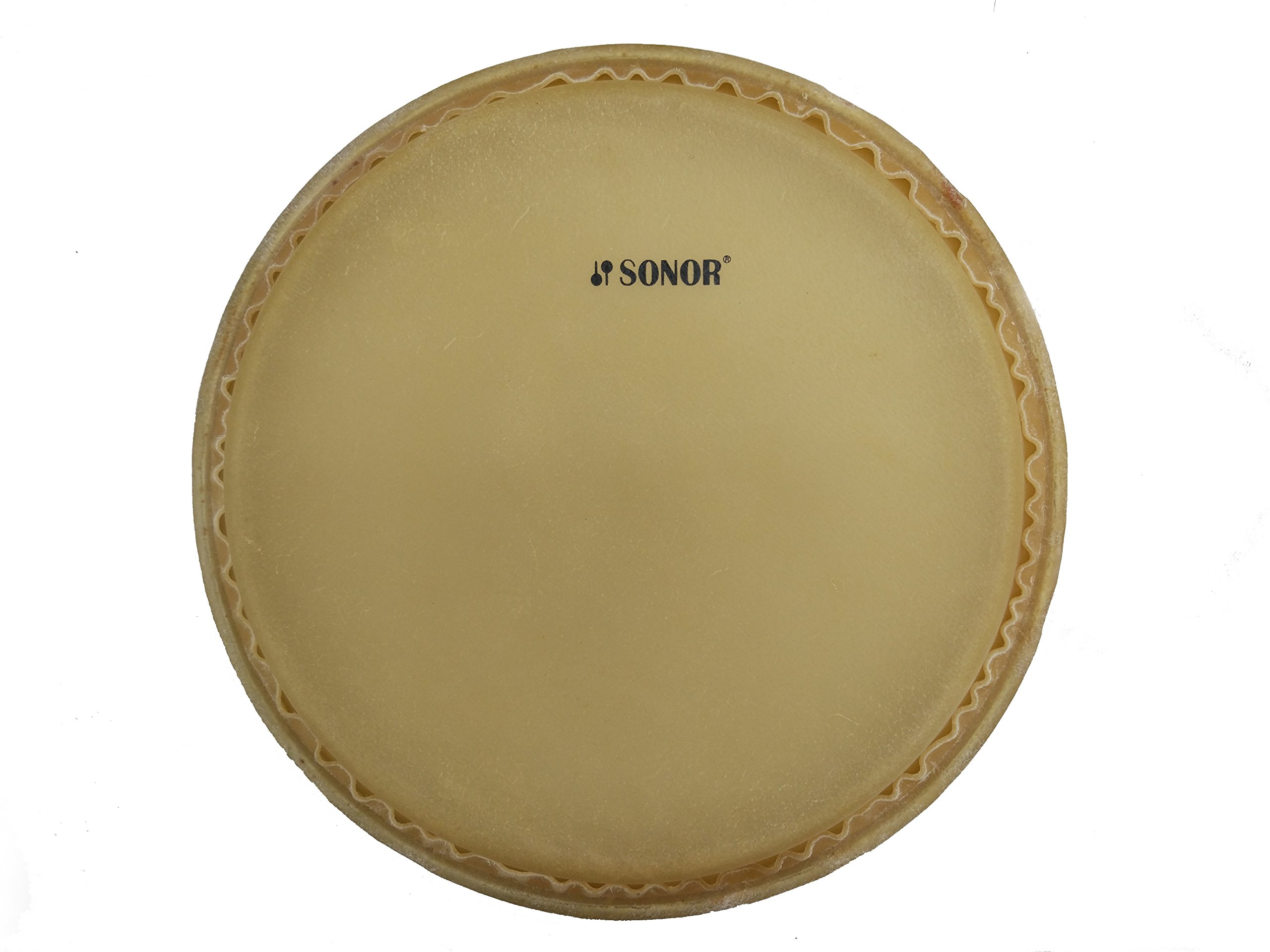 Amazon.co.jp: SONOR ソナー コンガ・ヘッド 11インチ SN-LHB11TR