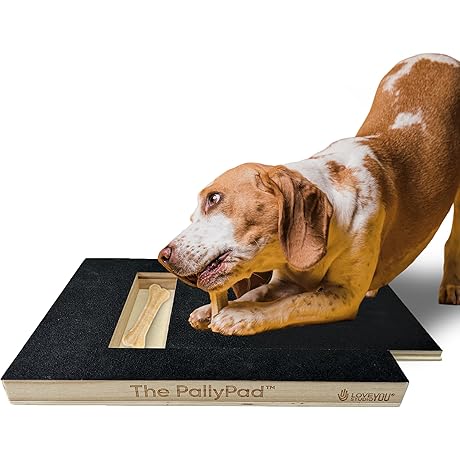 The 'PallyPad' Scratch Square for Dogs