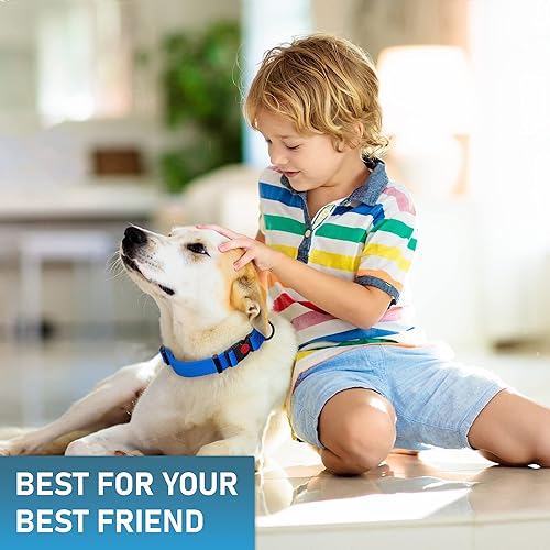 Miniatura 9 de Collar de perro ajustable con código QR identificación adjunta, fabricado en Estados Unidos, collar de perro resistente al agua con hebilla de