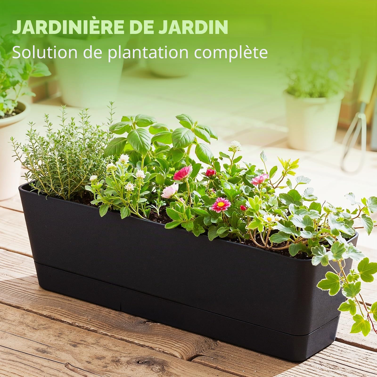 Bamworld Lot de 3 Jardinières Rectangulaires 42x12 cm en Plastique avec Drainage, pour Balcon, Intérieur et Déco de Table, Noir