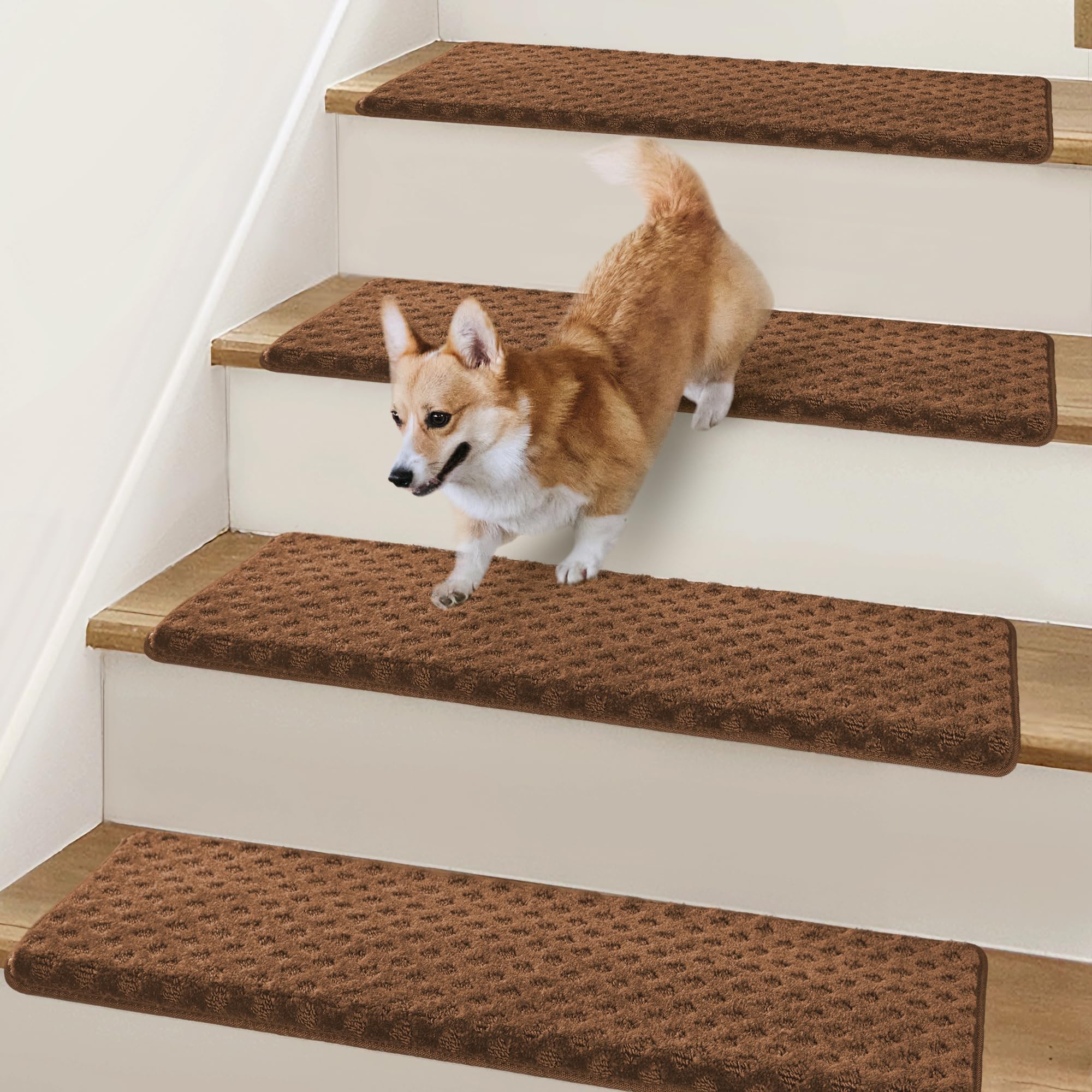 Bullnose Carpet Stair Treads for Wooden Steps Indoor 9.5" x 32"