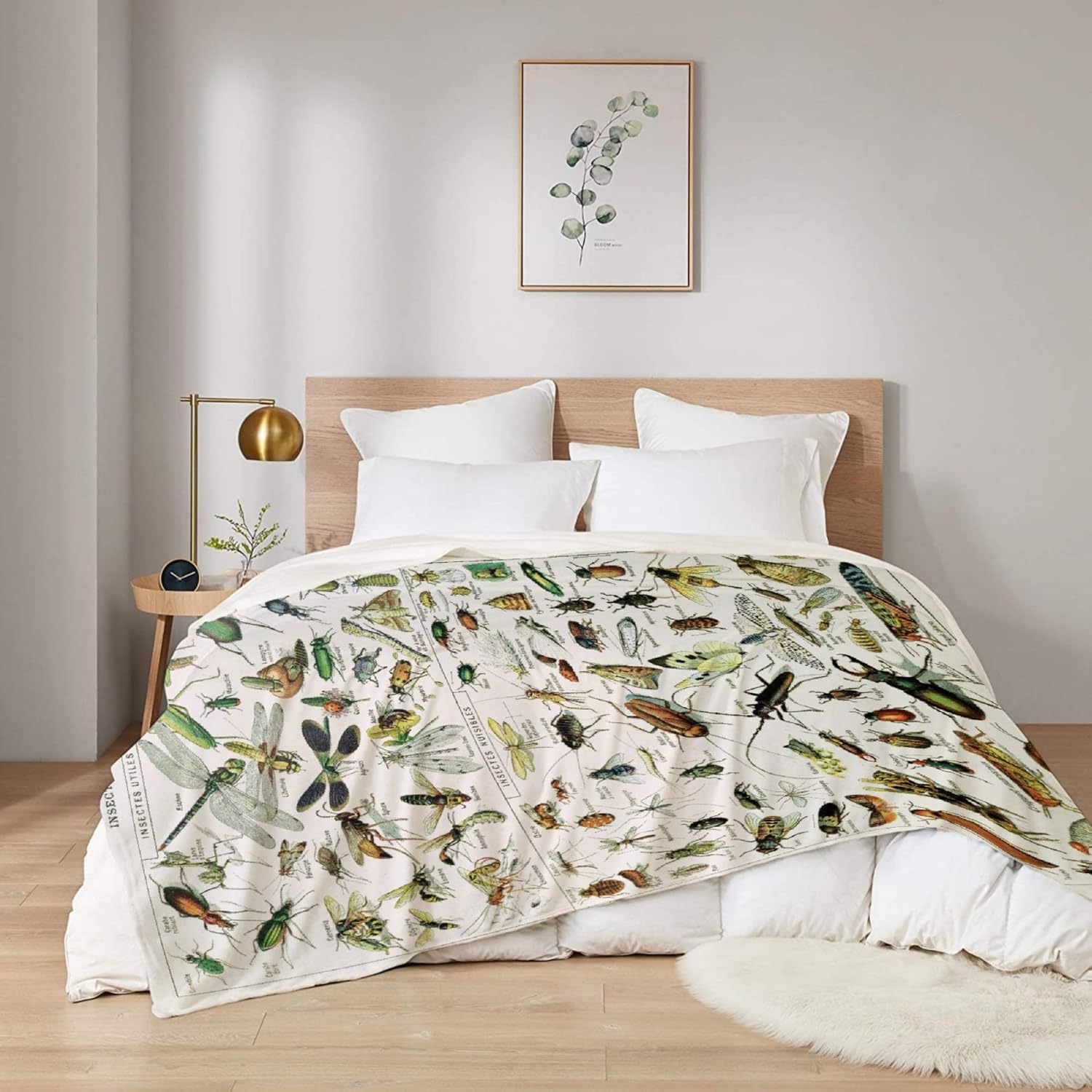 Art Insects Identification Reference Blanket Gifts for Tarot Lover 60 x 50 Inch for Teen,Art Insects Identification Reference Fannel Fleece Throw Blanket Super Soft Throws Blanket for Bed Couch Sofa