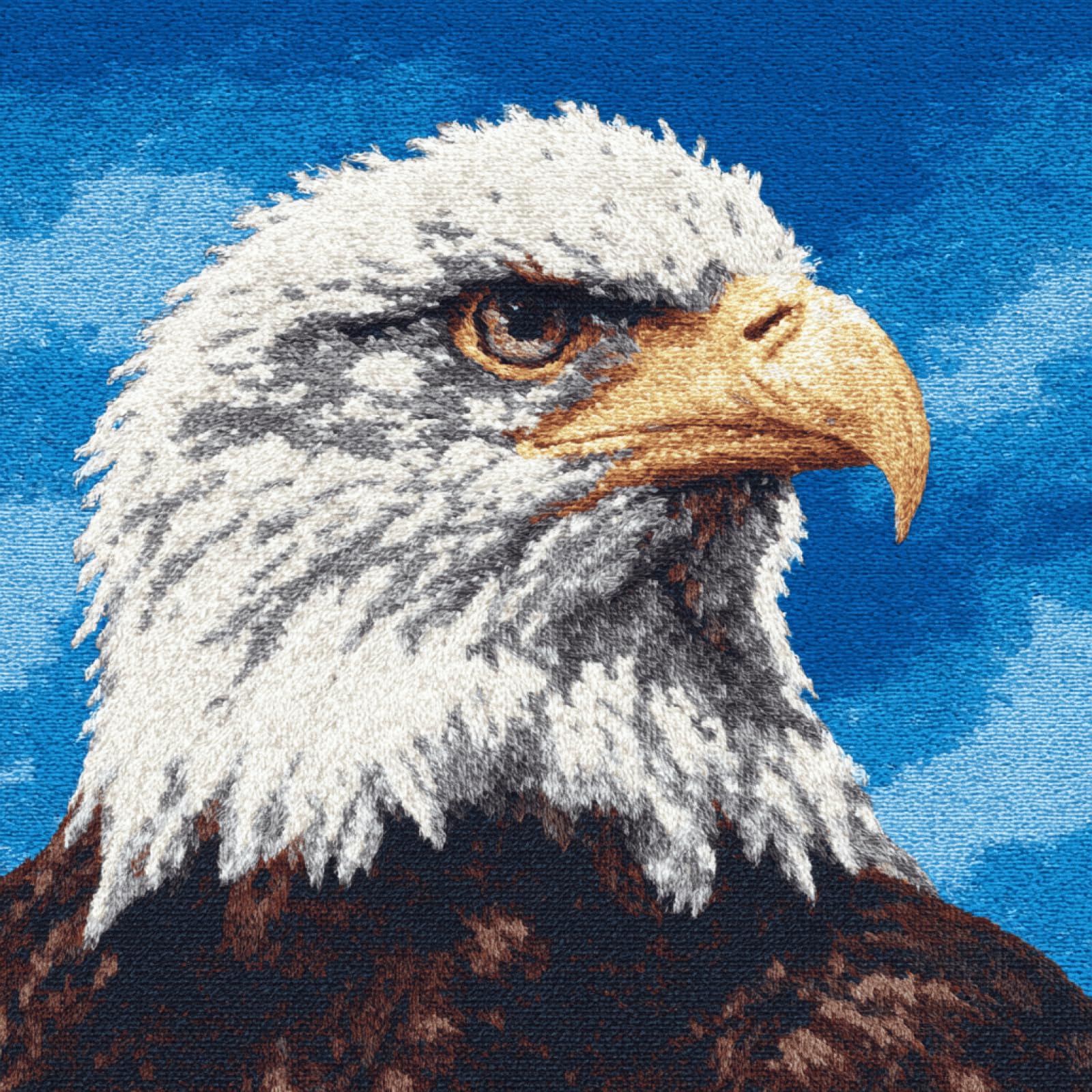 kitphoenix DIY Cushion Making Kit,Latch Hook Cushion Kit 43x43 cm with Colour Printed Canvas,Pre-Cut Yarn,Crochet Hook and Step-by-Step Instructions for Beginners and Adults,Bald Eagle
