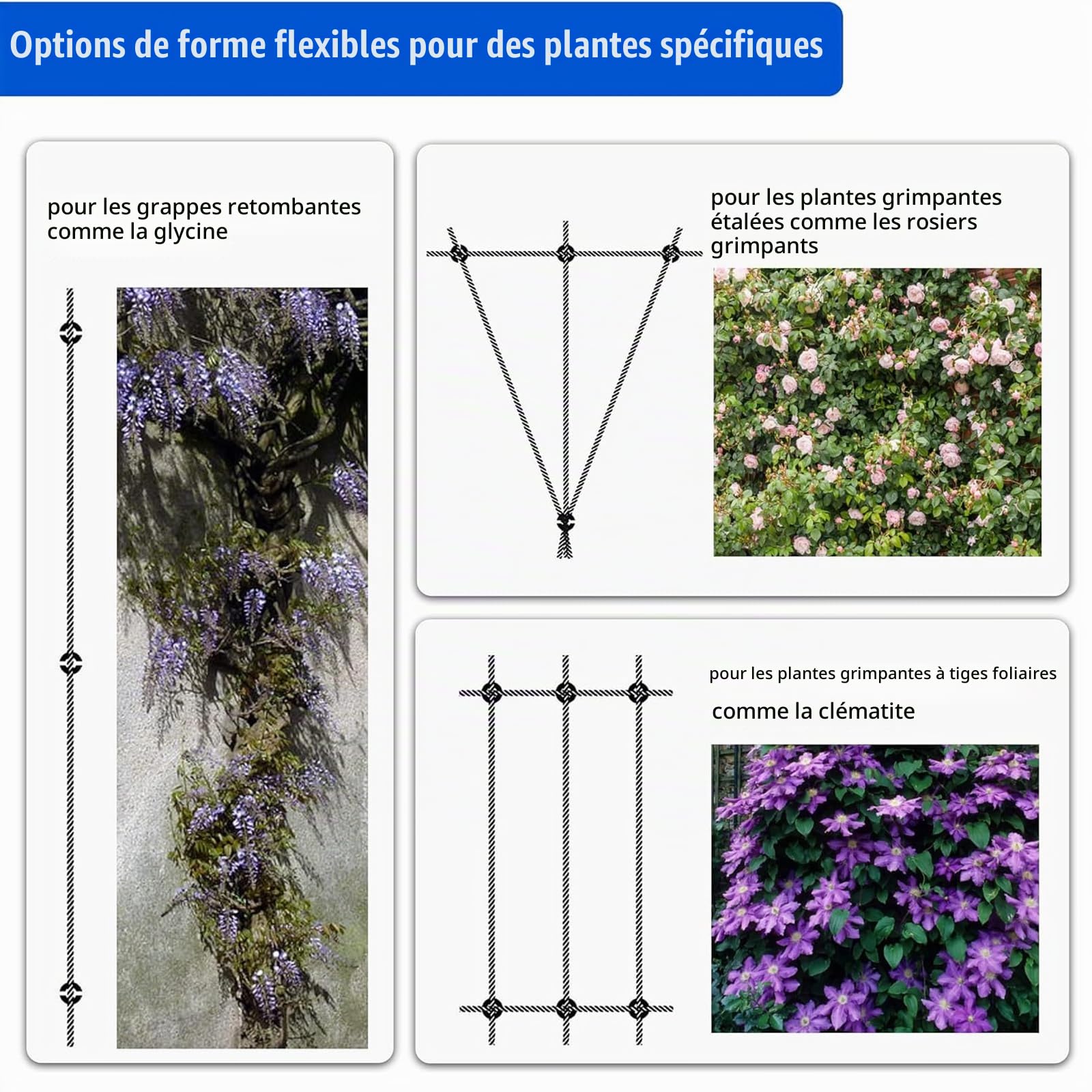 Support Treillis pour Plantes Grimpantes, Treillis en Acier Inoxydable, pour Rosier Les Jardins Extérieurs(8 Supports, Corde de 12 m)