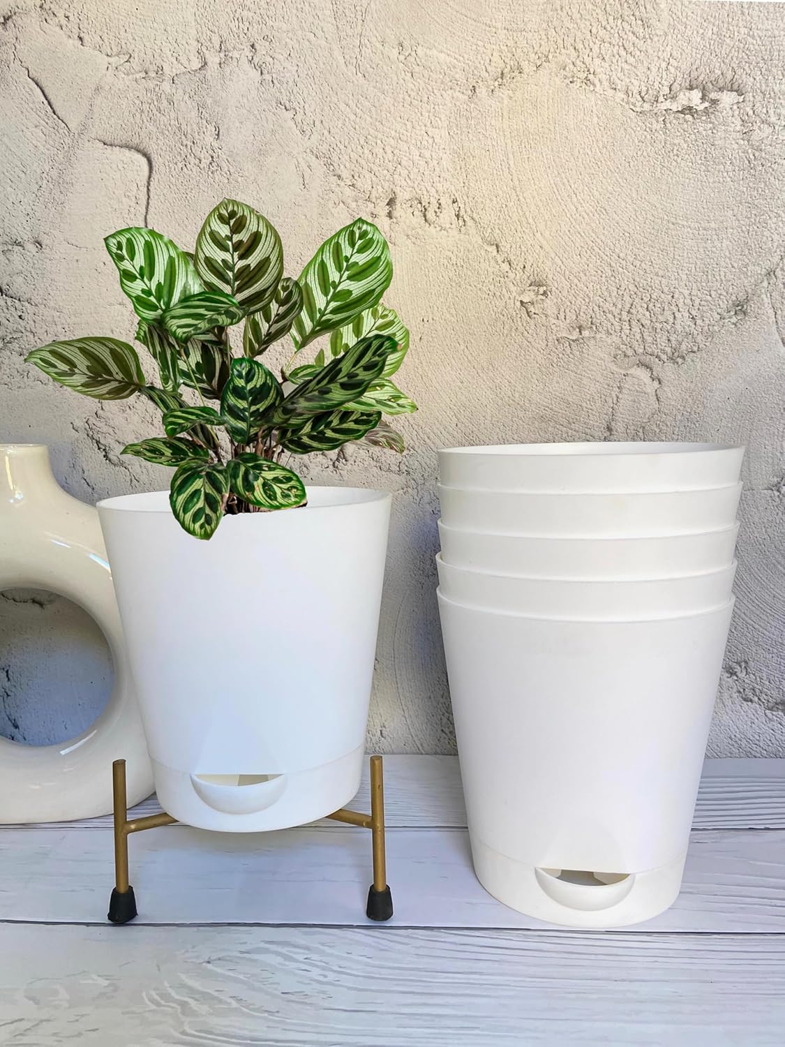 Indian Gardens Colour Plastic Self Watering Pot for Home Garden