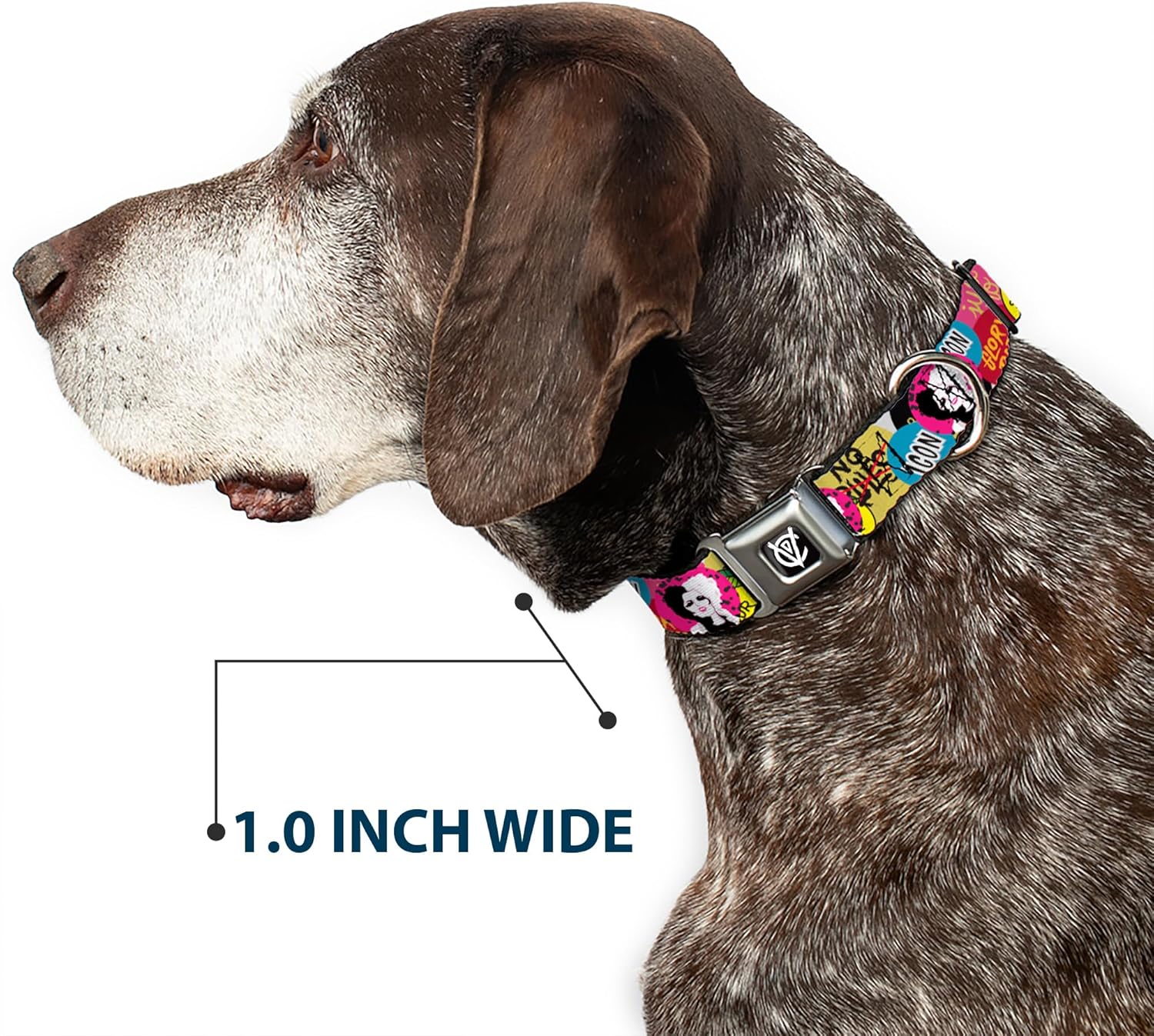 Dog Collar Seatbelt Buckle Cruella de Vil Cruell World and Round Badge Icons Collage 15 to 24 Inches 1.0 Inch Wide