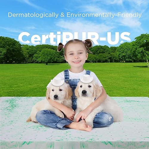 Miniatura 4 de BedsPick Cubrecolchón de espuma viscoelástica de 2 pulgadas, doble tamaño con infusión de gel