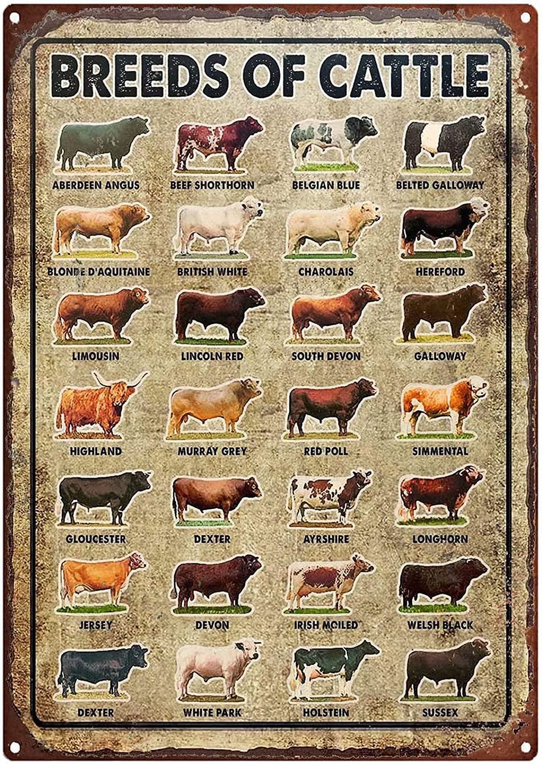 Haosensix Breeds of Cattle Vintage Metal Tin Sign Wall Plaque Poster for Cafe Bar Pub Beer Club Wall Home Decor 8x12 Inch