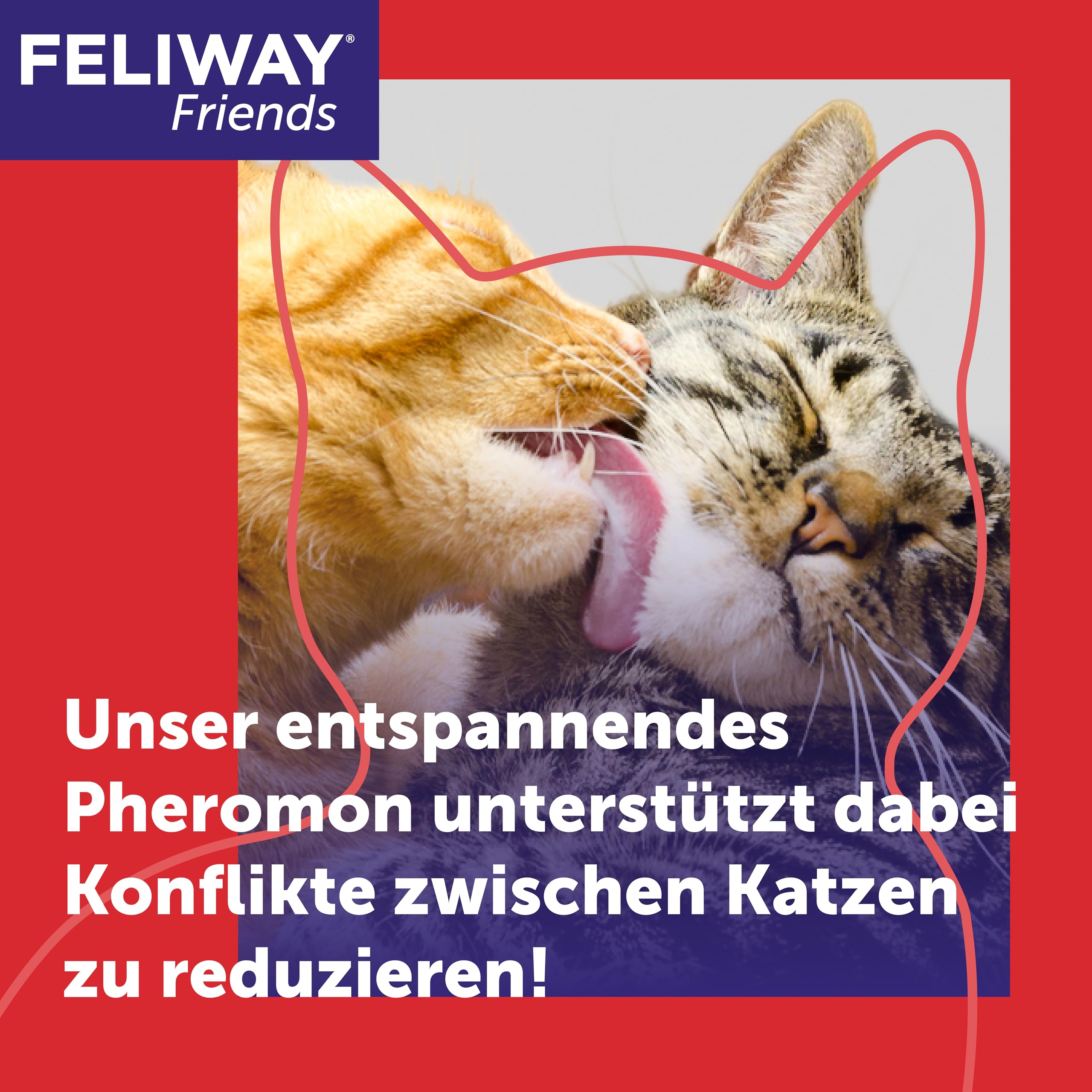 FELIWAY Friends 30 Tage Pheromon Verdampfer Start-Set, 48ml - Hilft Anzeichen von Stress bei Katzen und Kitten zu reduzieren, von Tierärzten empfohlen, klinisch getestet