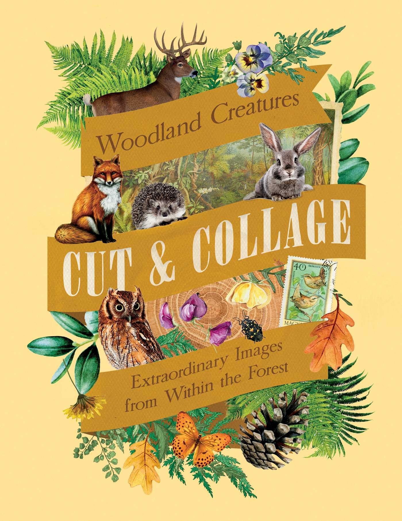 Cut  Collage Woodland Creatures by Earth Aware Editions PAPERBACK 9798887621647