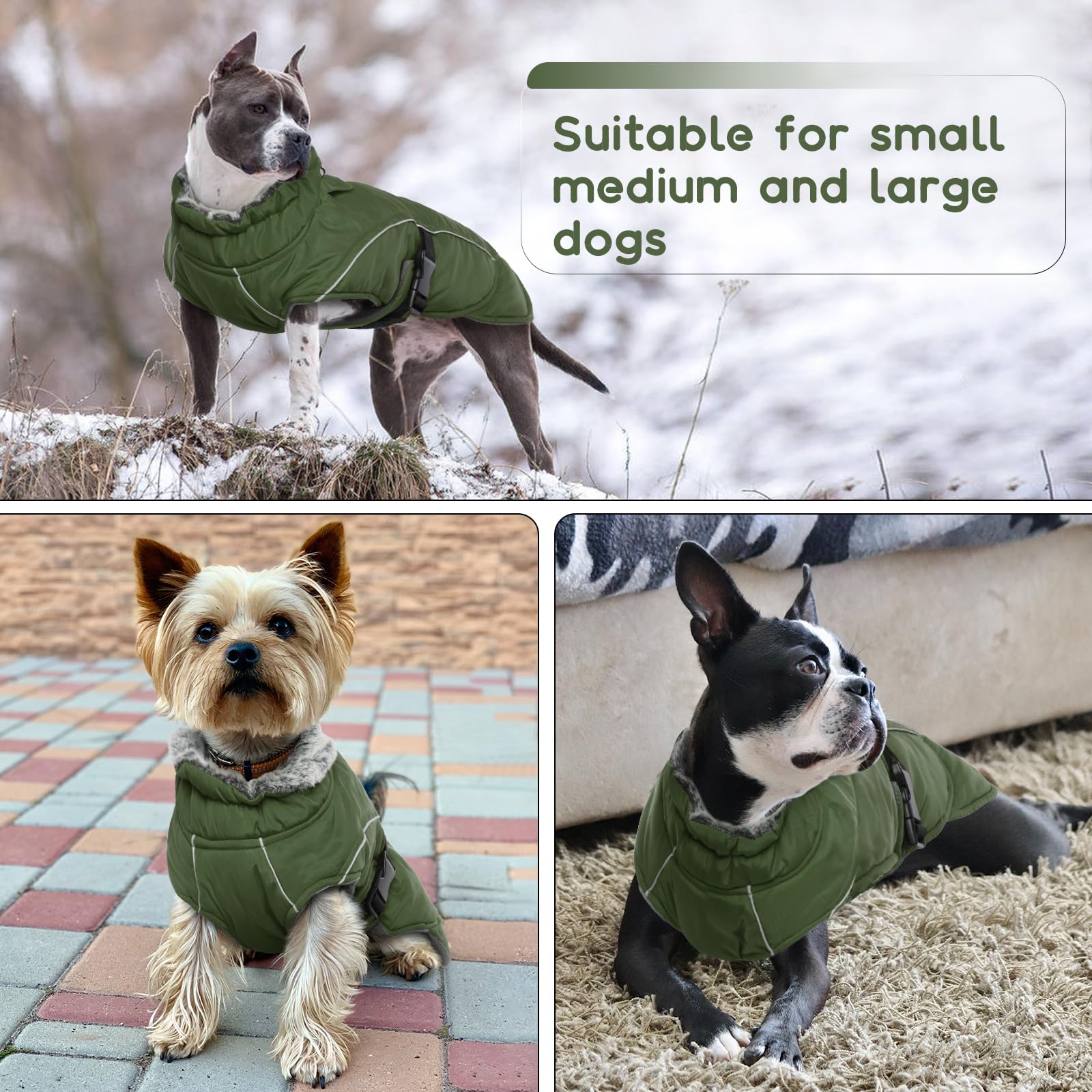Manteau chaud avec harnais integré pour bouledogue français Manteau chaud avec harnais integré pour bouledogue français
