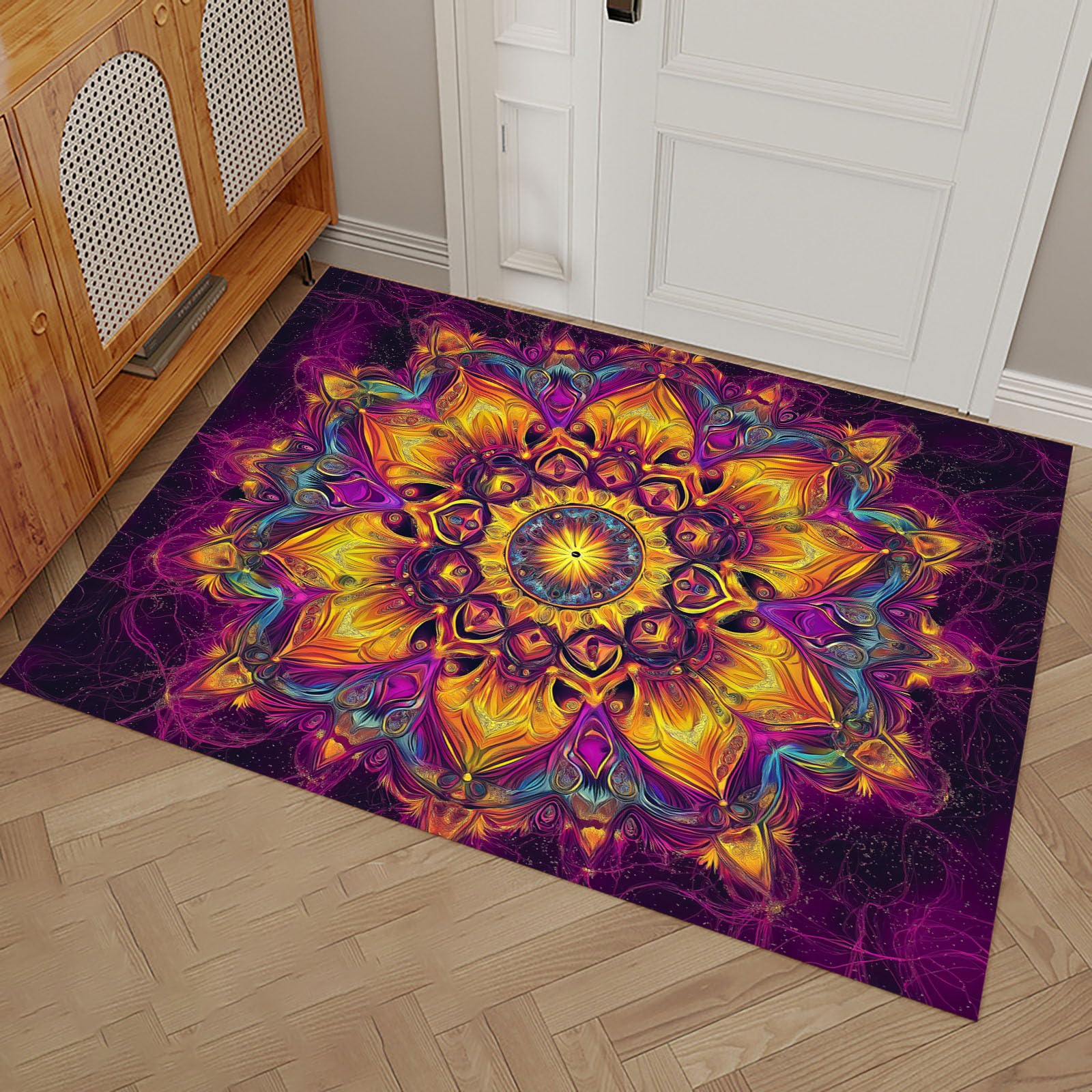 Paillasson Piège à Saletés Tapis de Sol Absorbant Fini les Traces de Boue