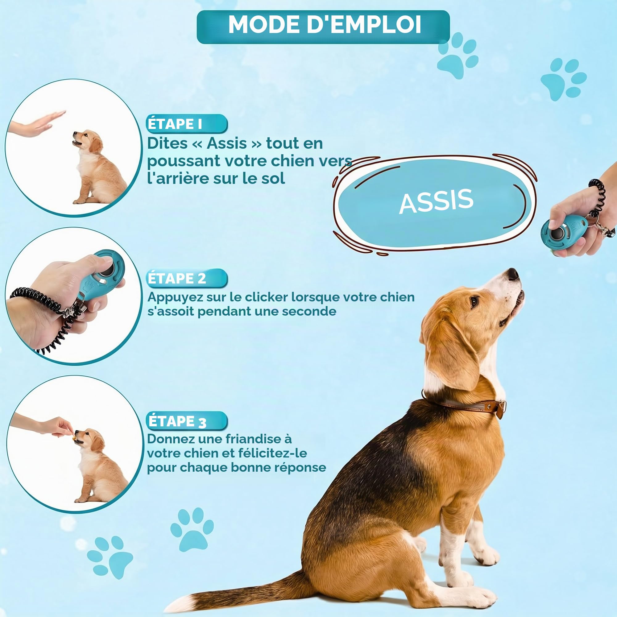 Clicker de Dressage pour Animaux de Compagnie avec dragonne – Clicker de Dressage pour Chien (Nouveau Noir + Bleu)