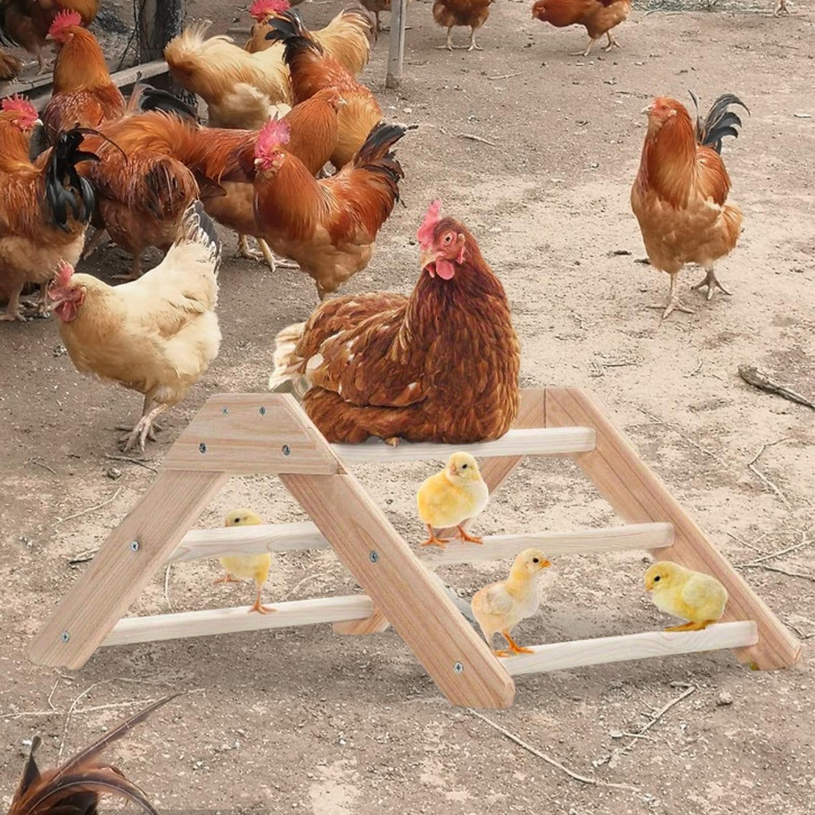 Perchoir à poules pour poulaillers | Escabeau en bois pour poules | Échelle Cage animaux domestiques et volaille