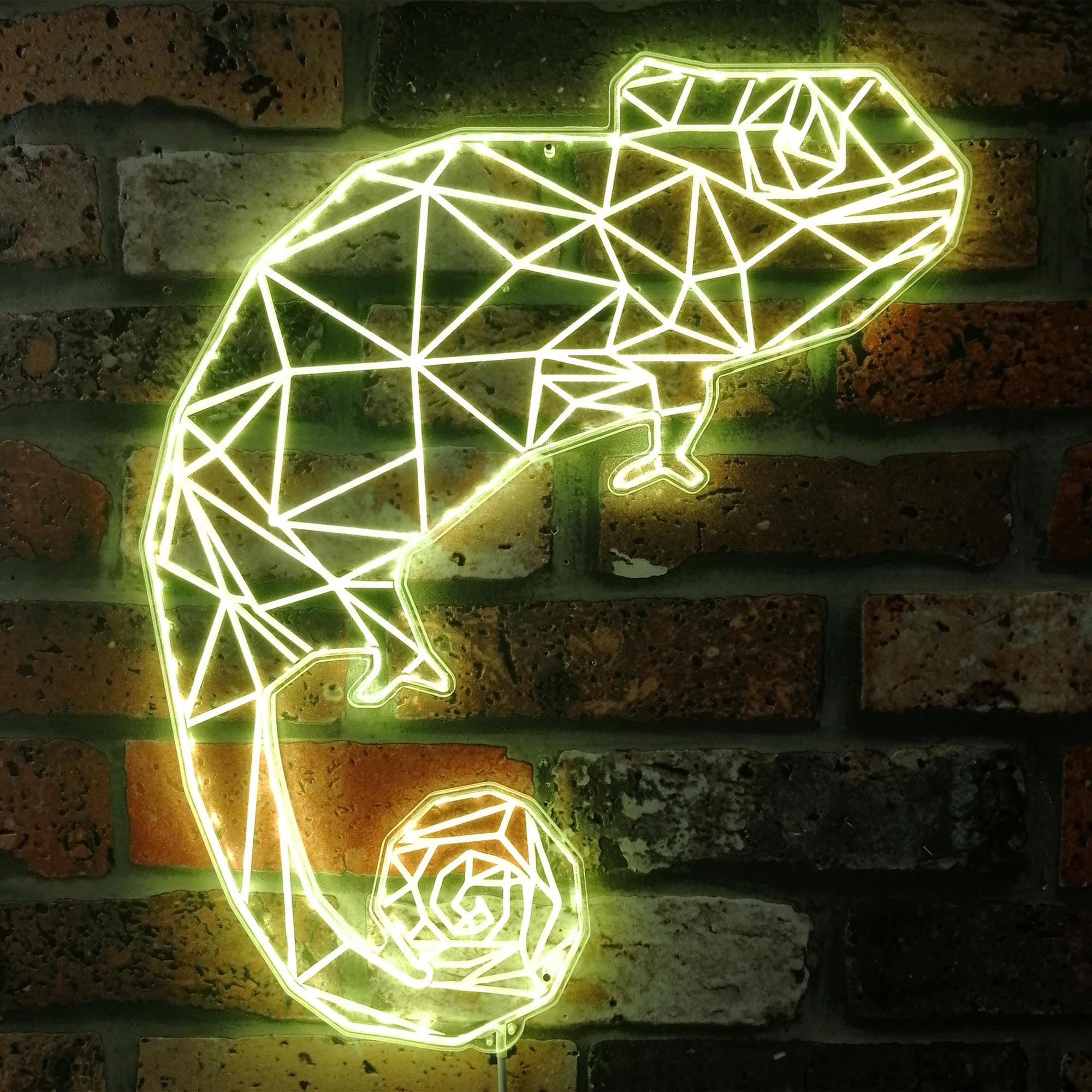 ADVPRO Chameleon Lizard Geometric RGB Dynamic Glam LED Sign - Cut-to-Edge Shape - Smart 3D Wall Decoration - Multicolor Dynamic Signage st06s86-fnd-i0281-c