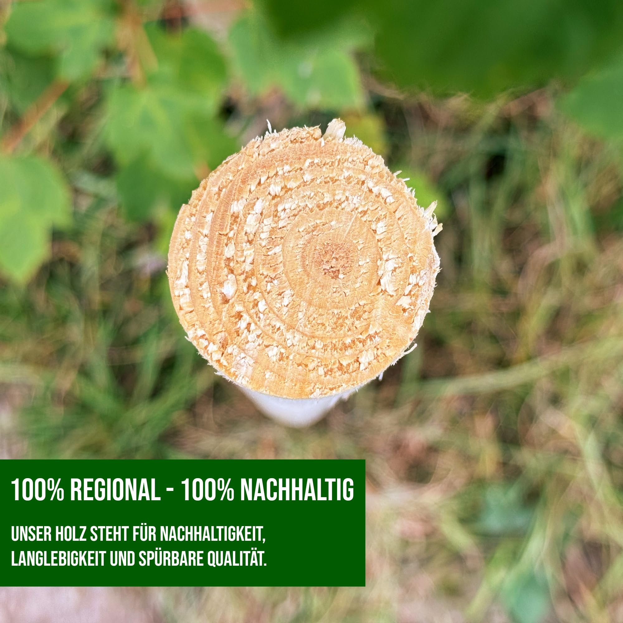 Juego de 10 estacas de madera natural redondas de 6 cm de diámetro, diferentes longitudes y grosores, ideales como postes de vallas, estacas de plantas o postes de árboles (125 cm de longitud)