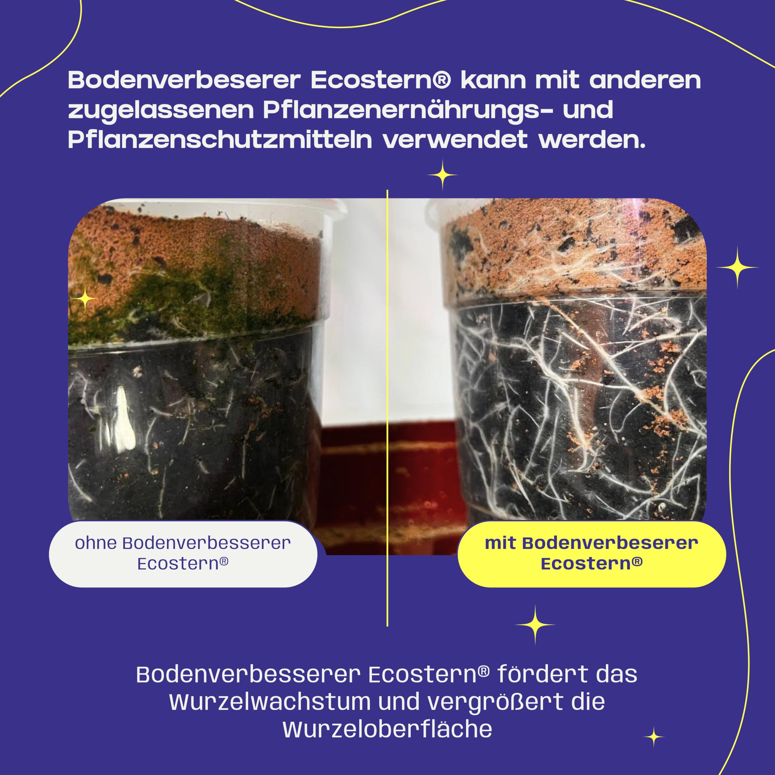 Let's Grow Biogarden Let's Grow Bio - Ecostern Bodenverbesserer, organischer Bodenzusatz auf Basis lebender Mikroorganismen zur Steigerung der biologischen Bodenaktivität, ideal für Gärten, 500 ml