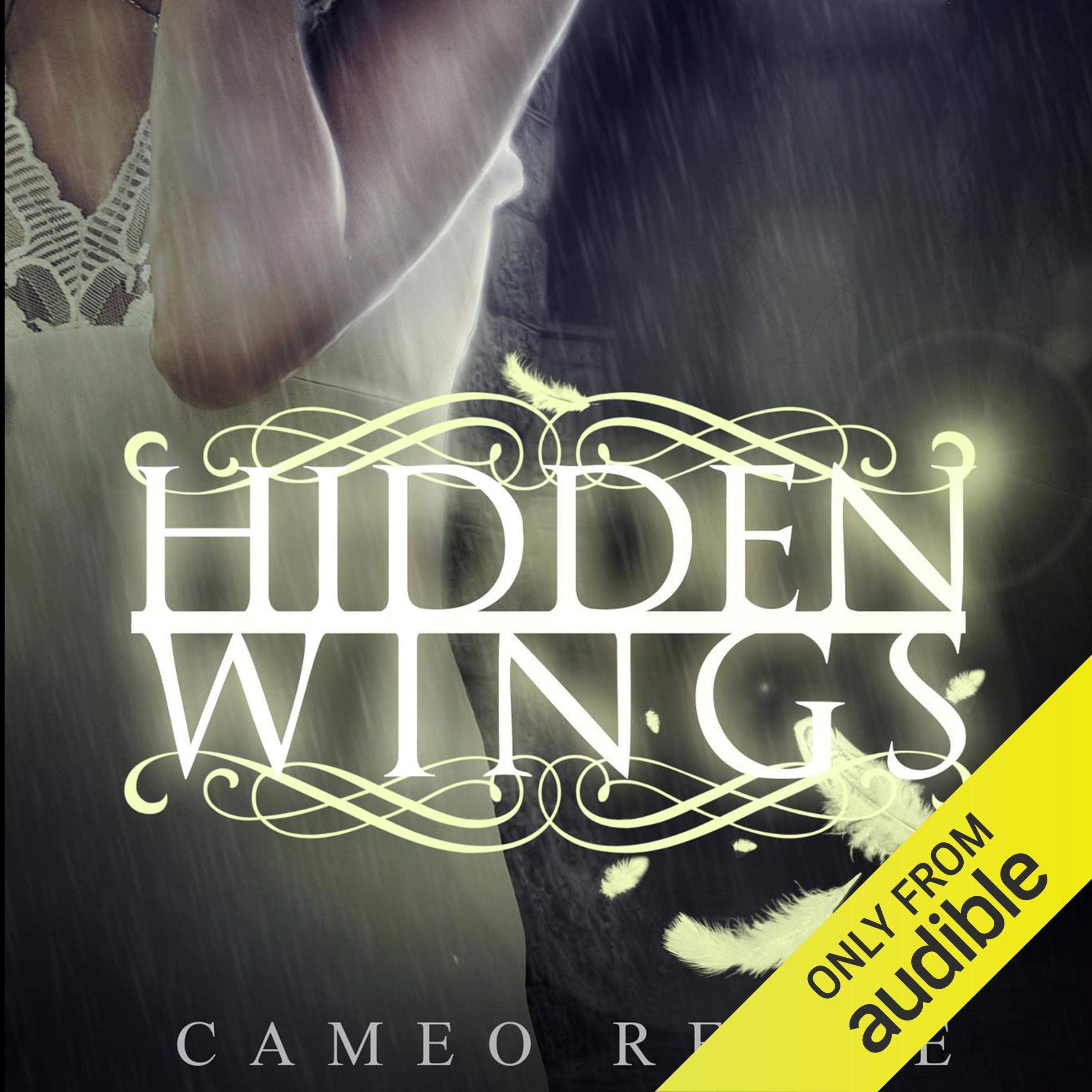 Cover art for Hidden Wings