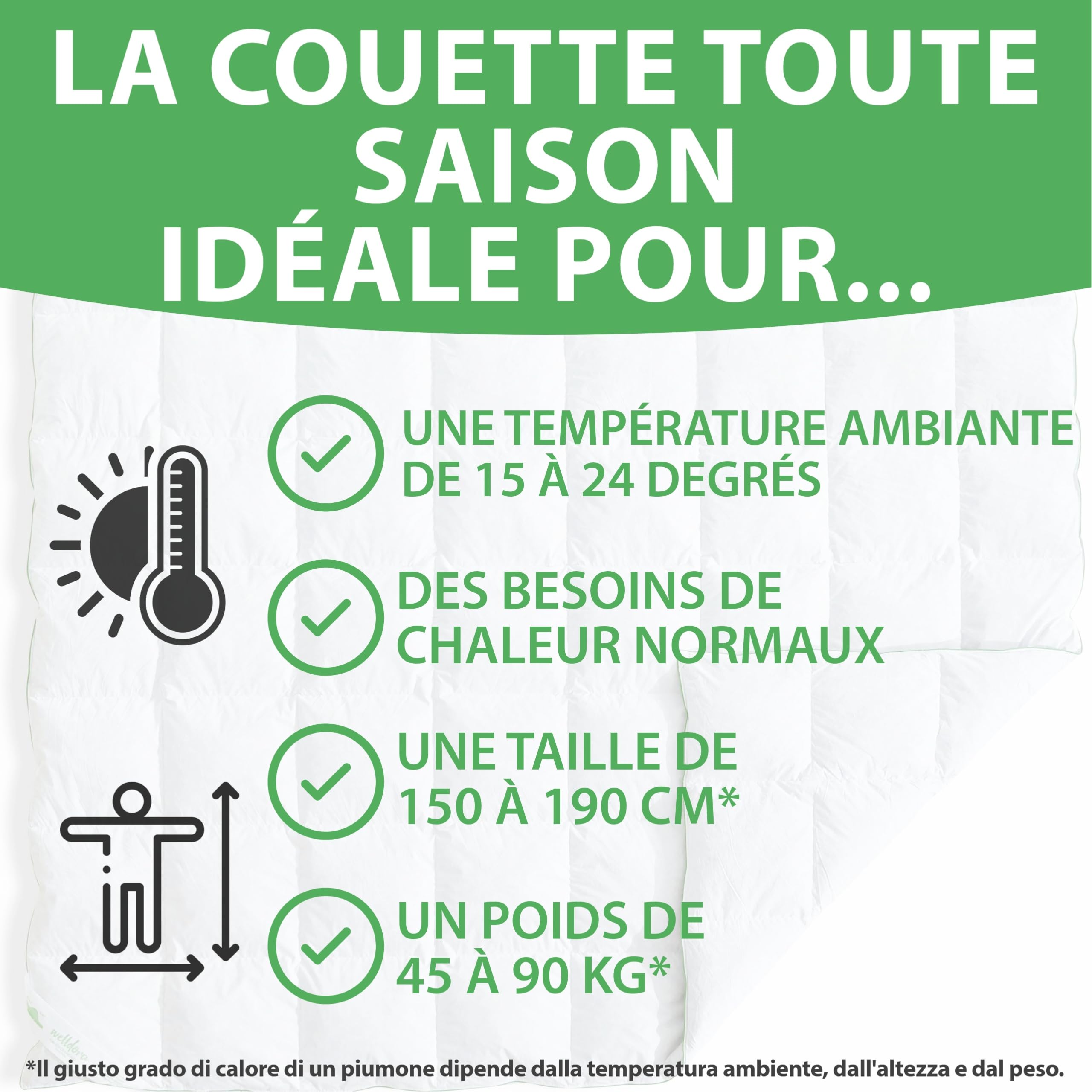 Welldora Couette 2 Personne Grand Confort 260x240 | 100% Plumes et Duvet Extradoux | Vérifiée par des Médecins, Oeko-Tex, Anti-Allergies, Certifiée RDS pour Le Bien-Être Animal | Couette Toute Saison