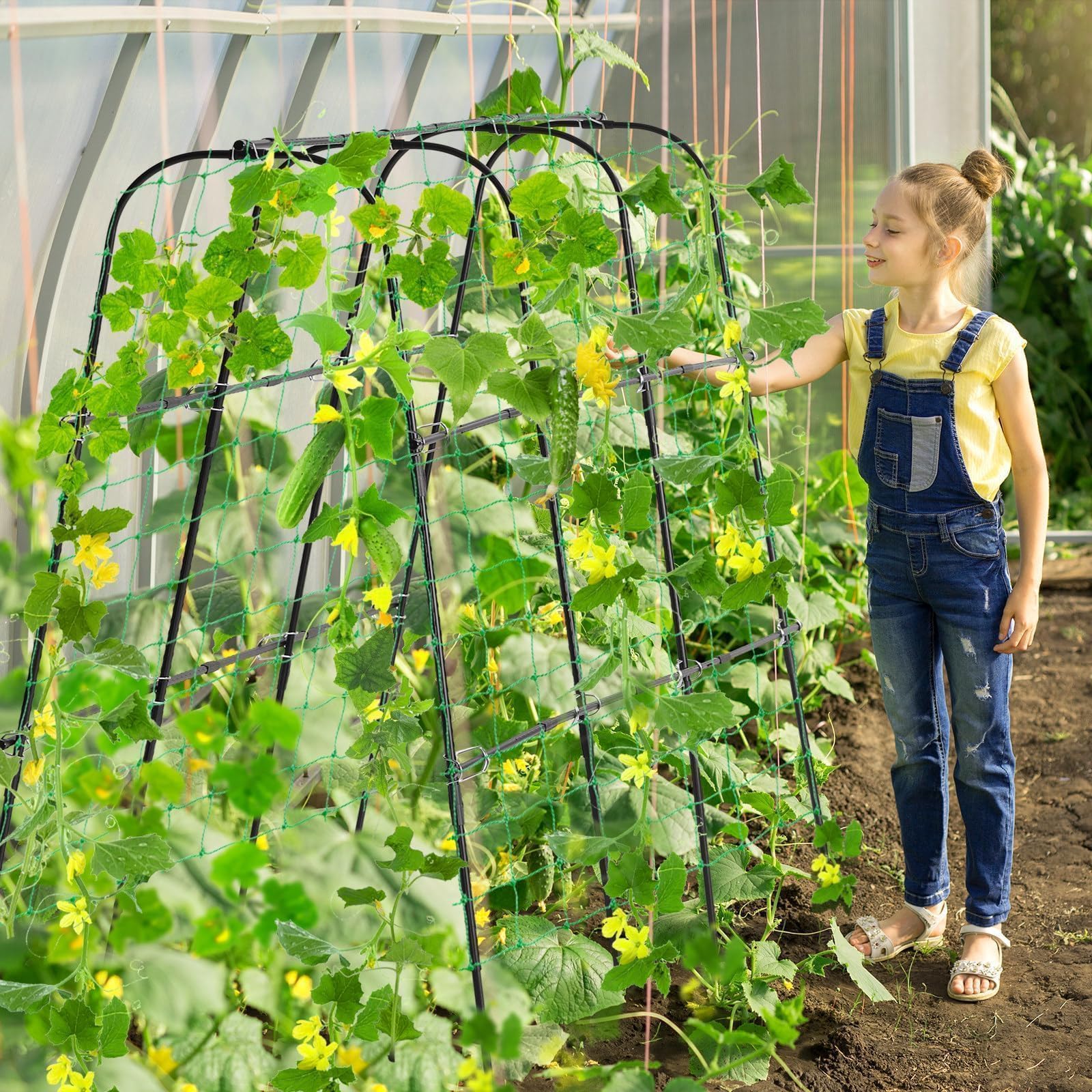 Cucumber Vine Trellis 2025] Grow Cucumbers Vertically On A Trellis