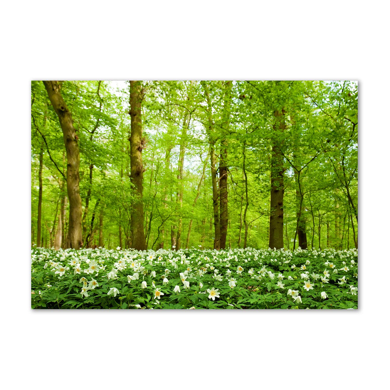 Tableau acrylique fleurs en forêt pour remplacer les cadres lourds et fragiles du salon