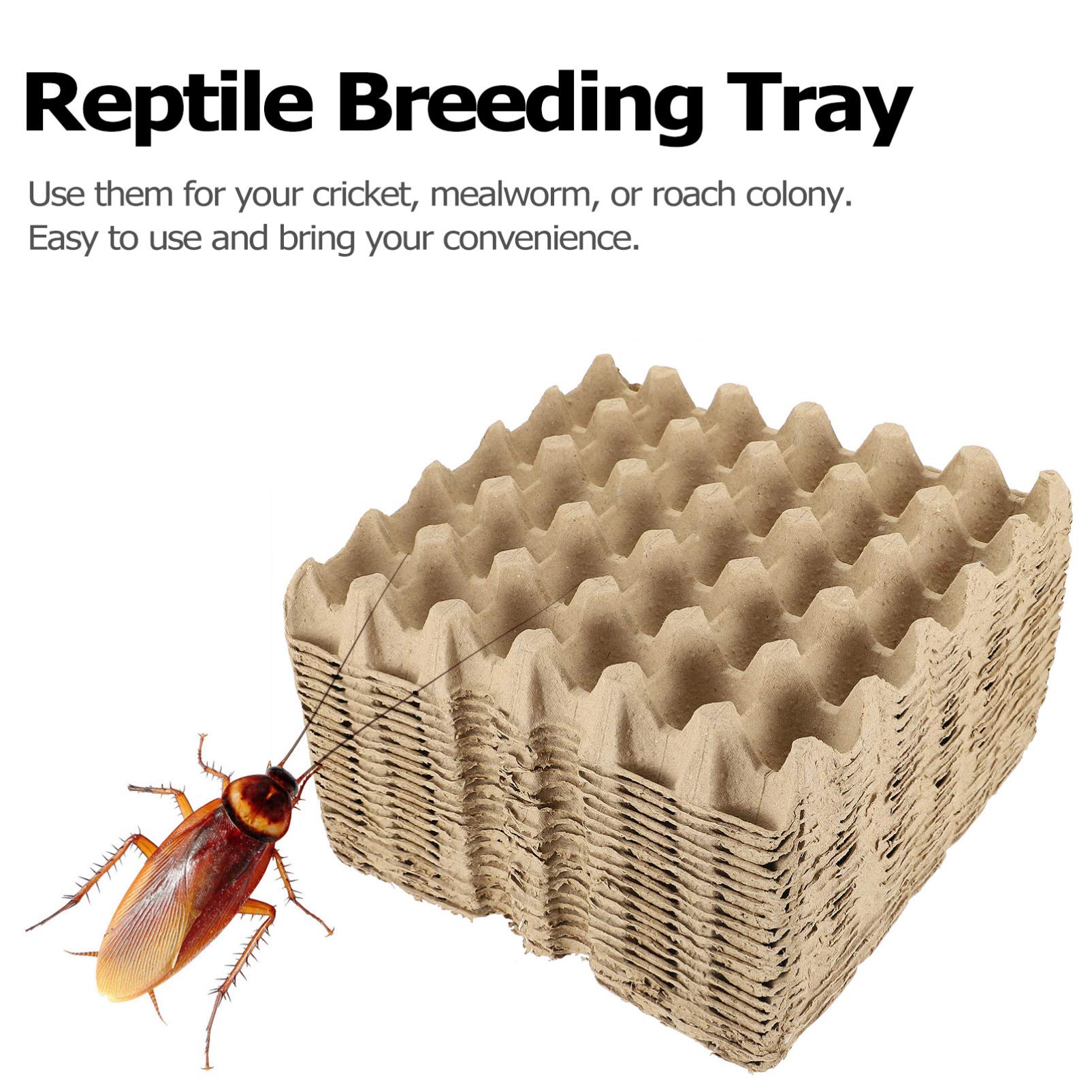 デュビア、自作飼育ケース、フード、卵トレー付き