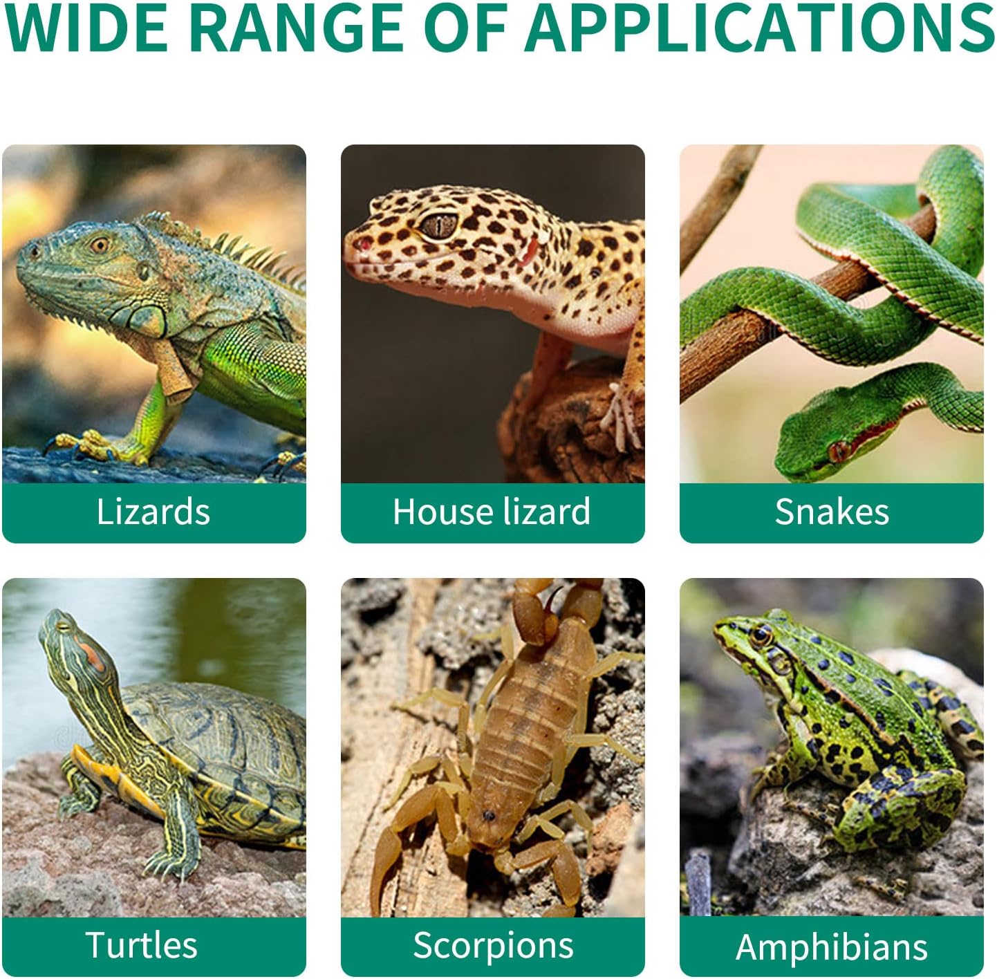 8x12 Inch Reptile Heating Pad with Temperature Controller, 23W Under Tank Heater, 30-40 Gallon Terrarium Heat Mat for Amphibians, Reptiles,Turtles (2 Pack, 23W(8x12 Inch))