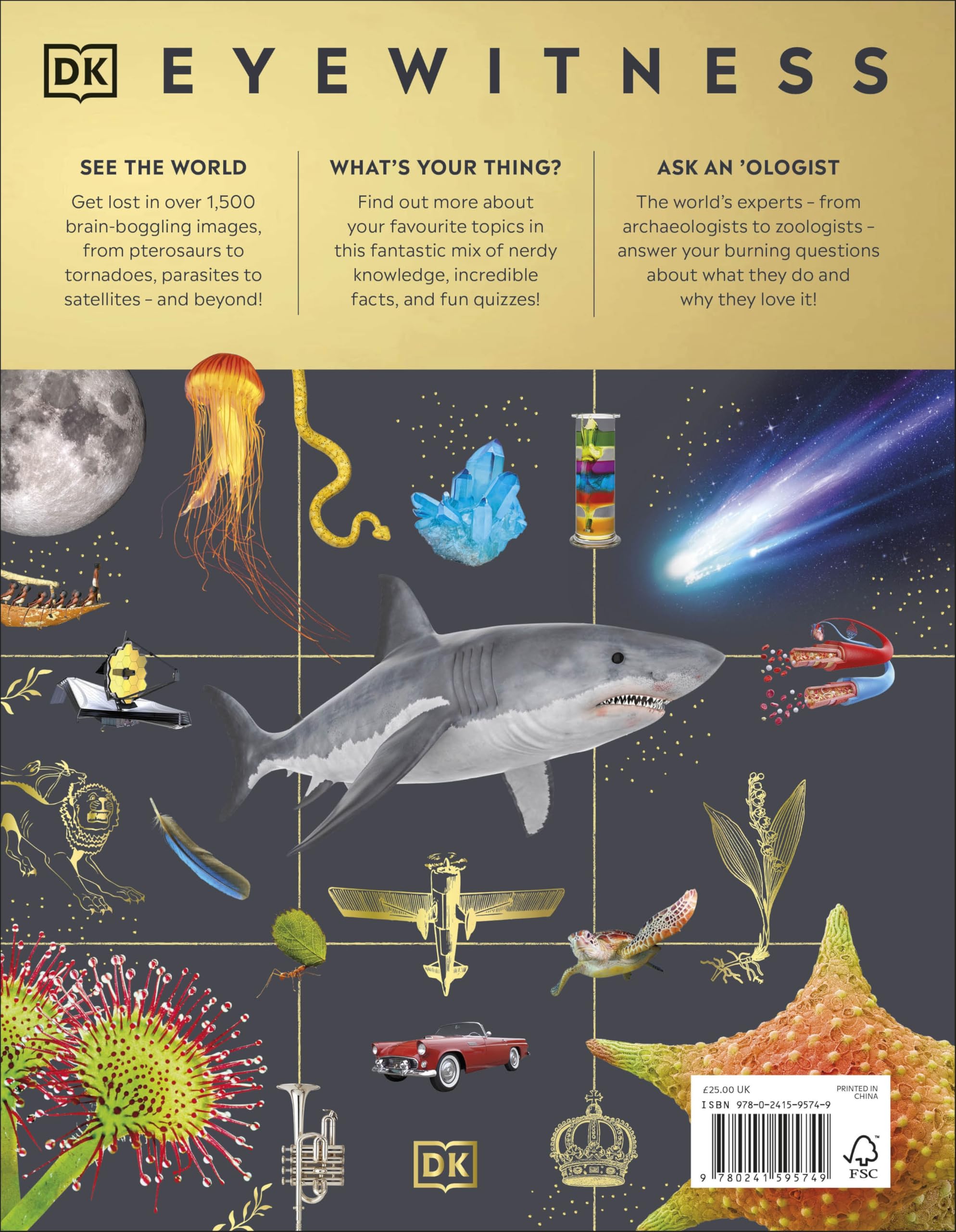 Eyewitness Encyclopedia of Everything: The Ultimate Guide to the World Around You