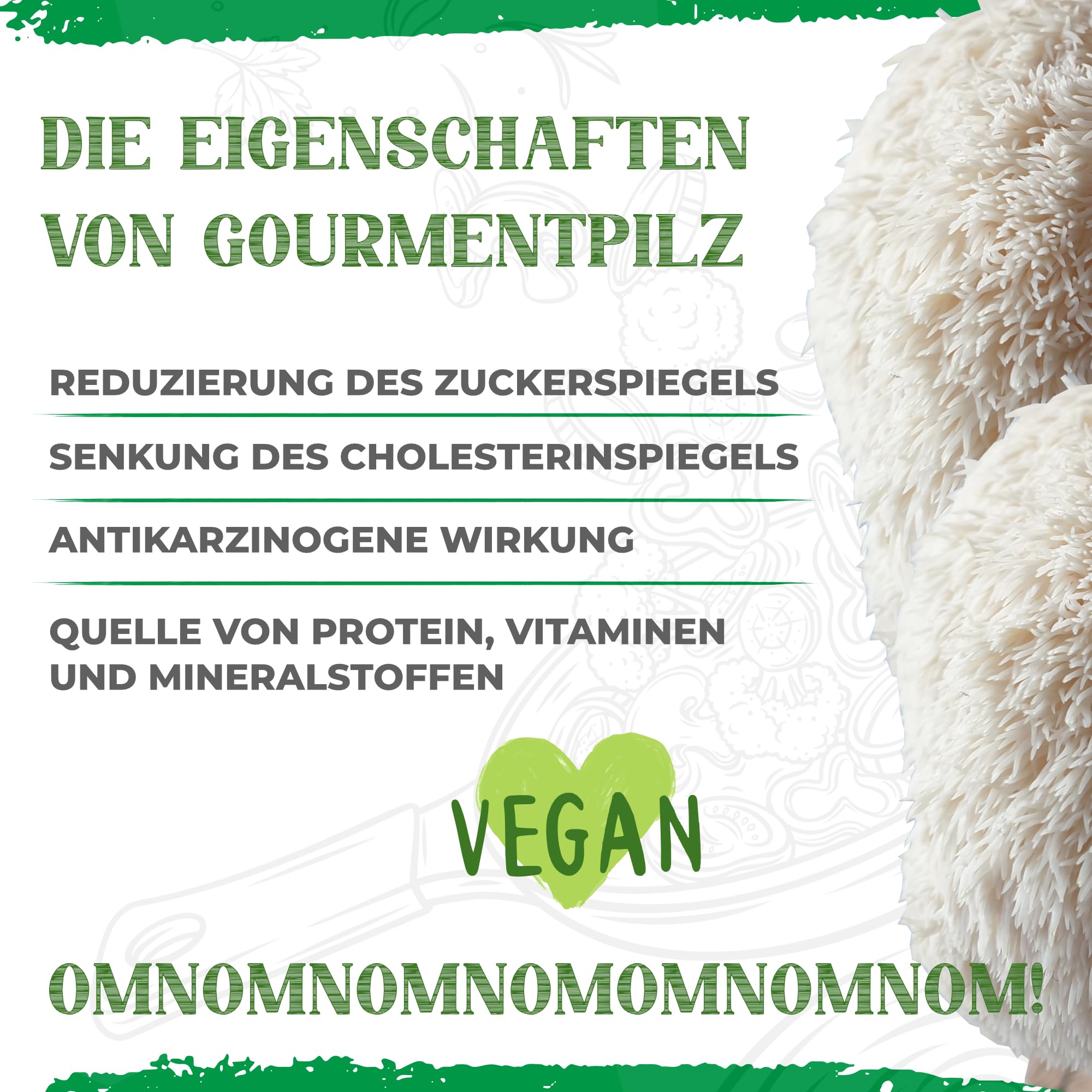 BIO Kit d'élevage de champignons | Champignons Grifola (Hericium erinaceus) un jeu d'enfant à cultiver | Kit de culture de champignons pour la maison | Kit complet de culture de champignons de qualité