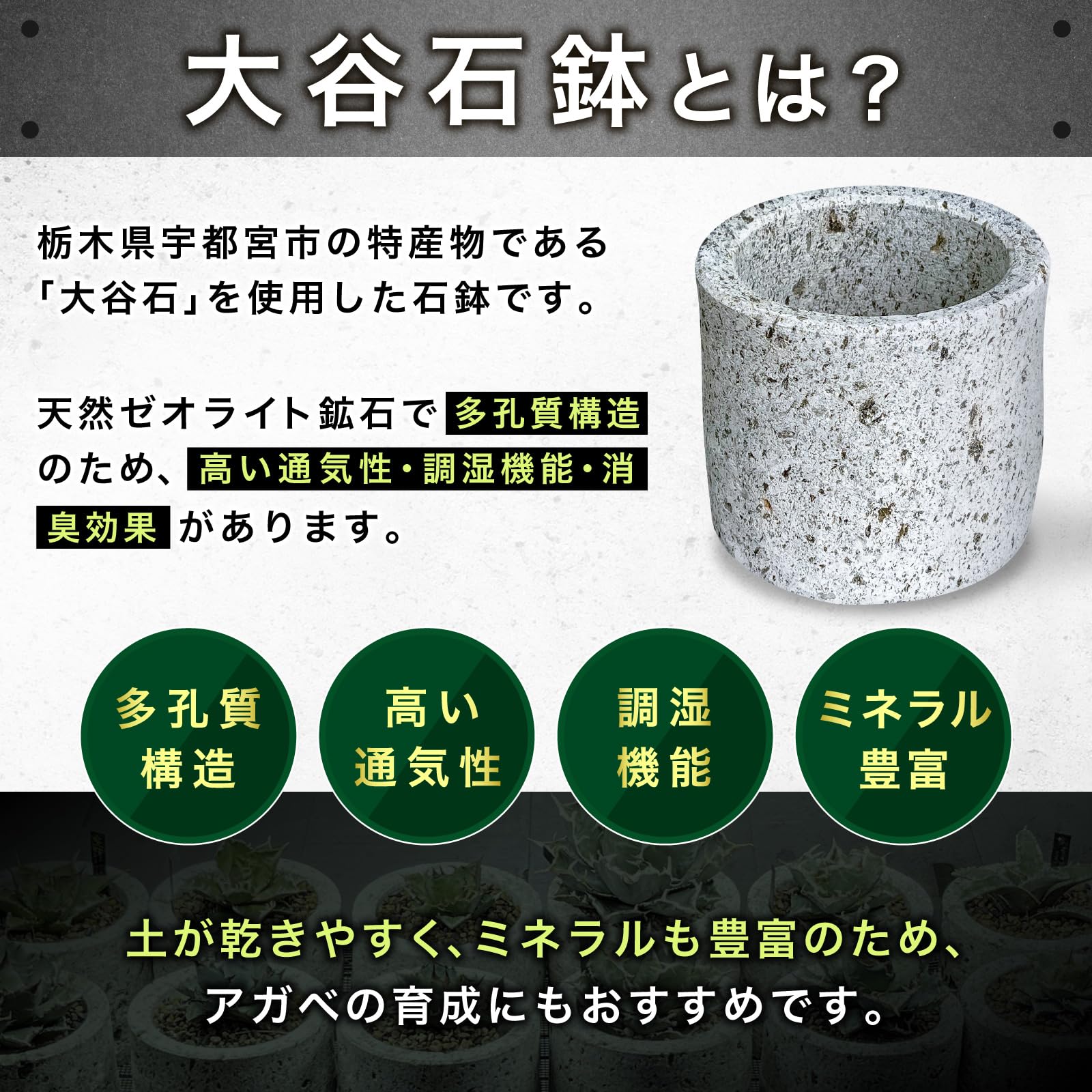 Amazon.co.jp: Kaiju Plant 大谷石 石鉢 Φ140mm x H120mm 0.7L アガベ