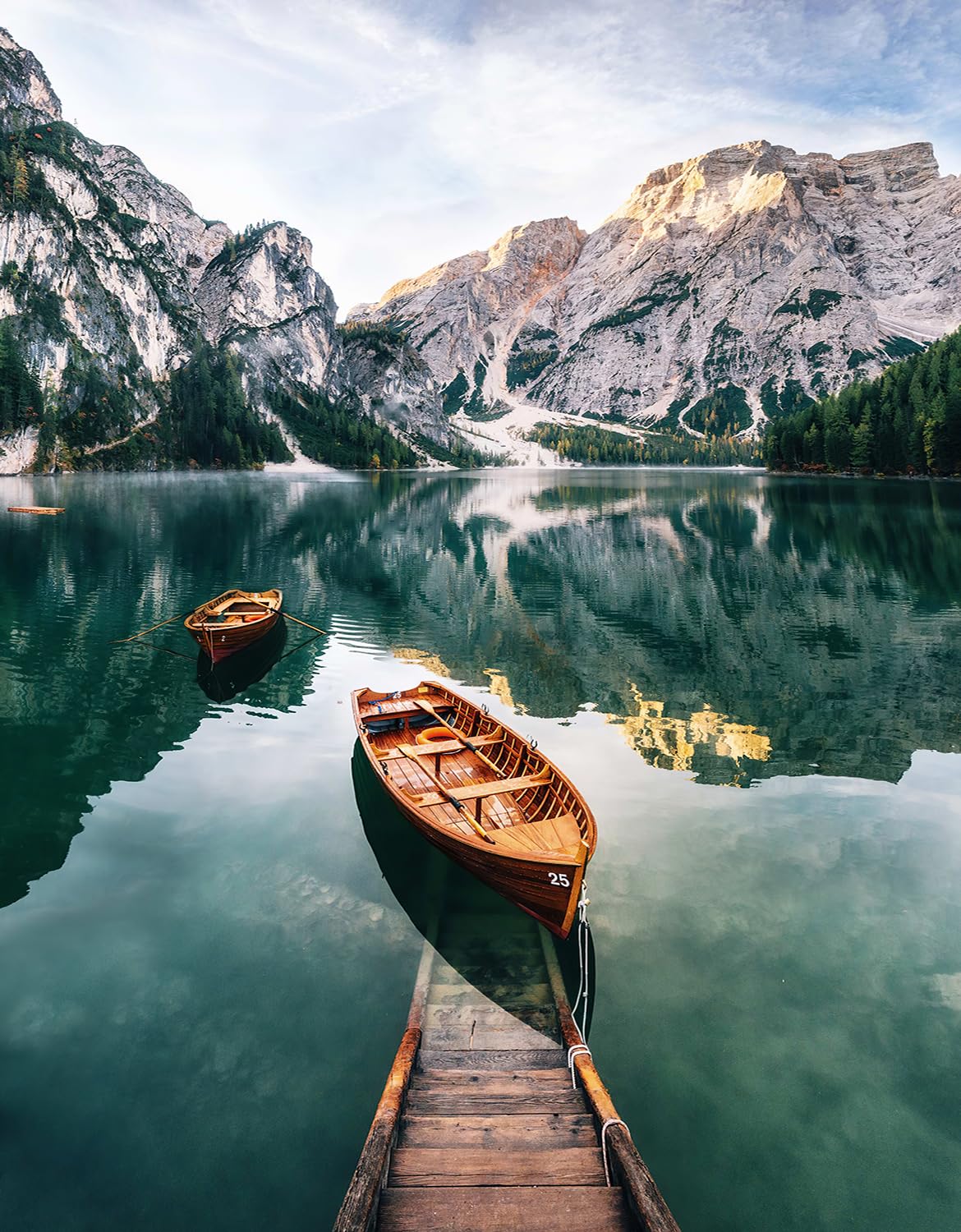 Jigsaw Puzzles for Adults 1000 Landscape, Difficult Jigsaw Puzzles for Adults, Educational Game Jigsaw Puzzle With 1:1 Poster Suitable for Wall Decoration And Gifts 27.56 X 19.69 Inch