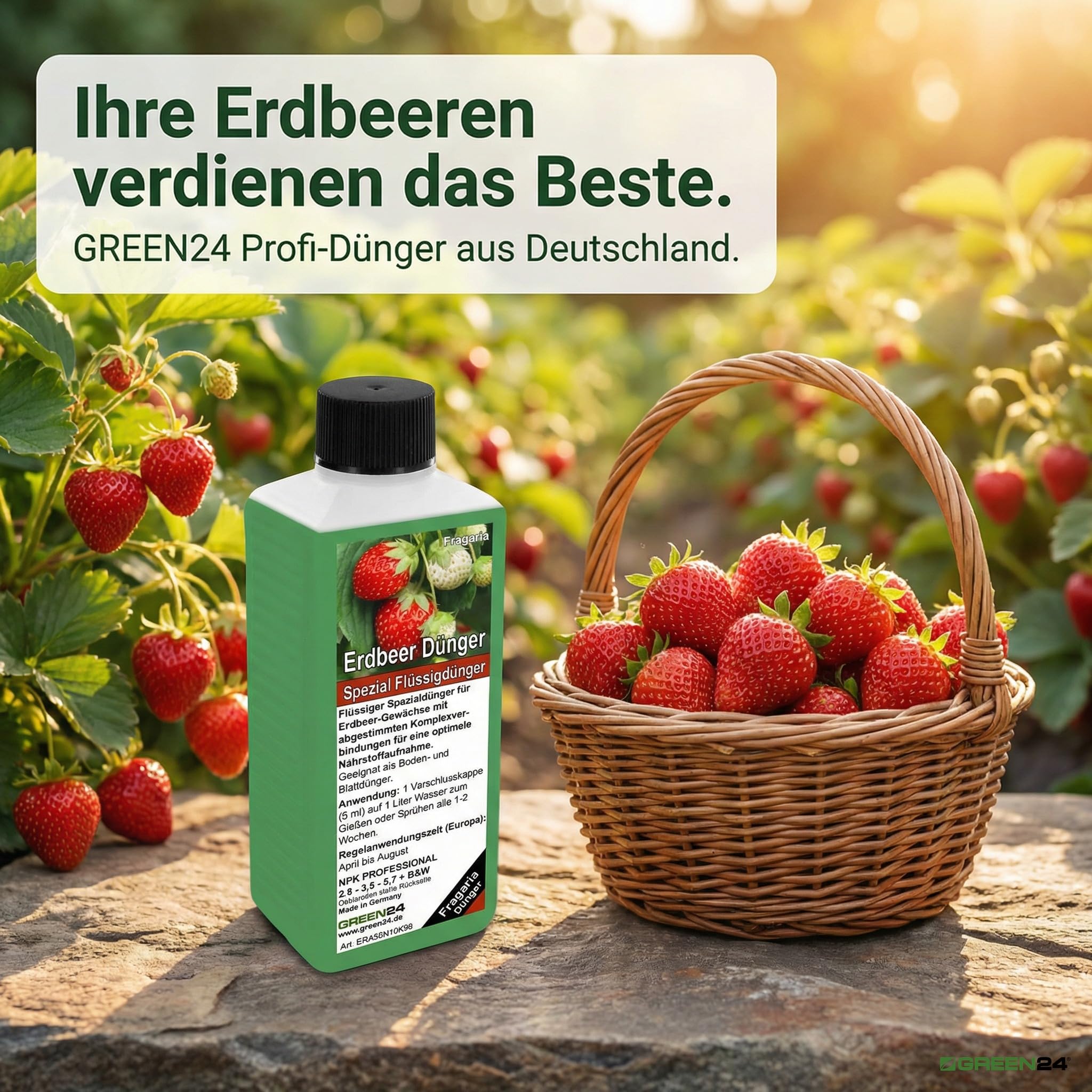 Erdbeer-Dünger XL 1 Liter Spezial Dünger für Erdbeer-Pflanzen, Fragaria Arten