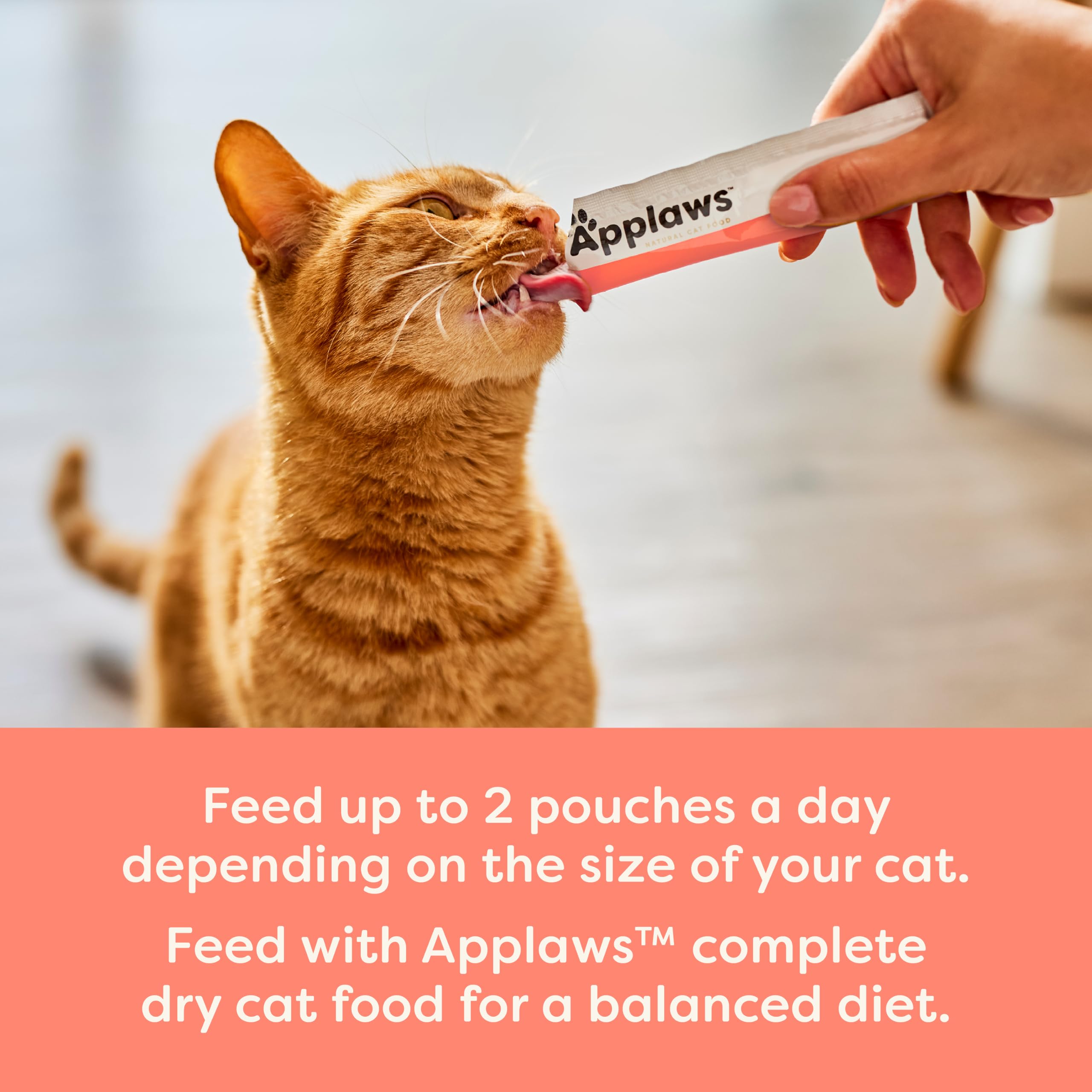 Applaws Natural Grain-Free Complementary Wet Cat Treats - Salmon Recipe Lickable Treats, 6 x 14g (Pack of 1, Salmon) 3