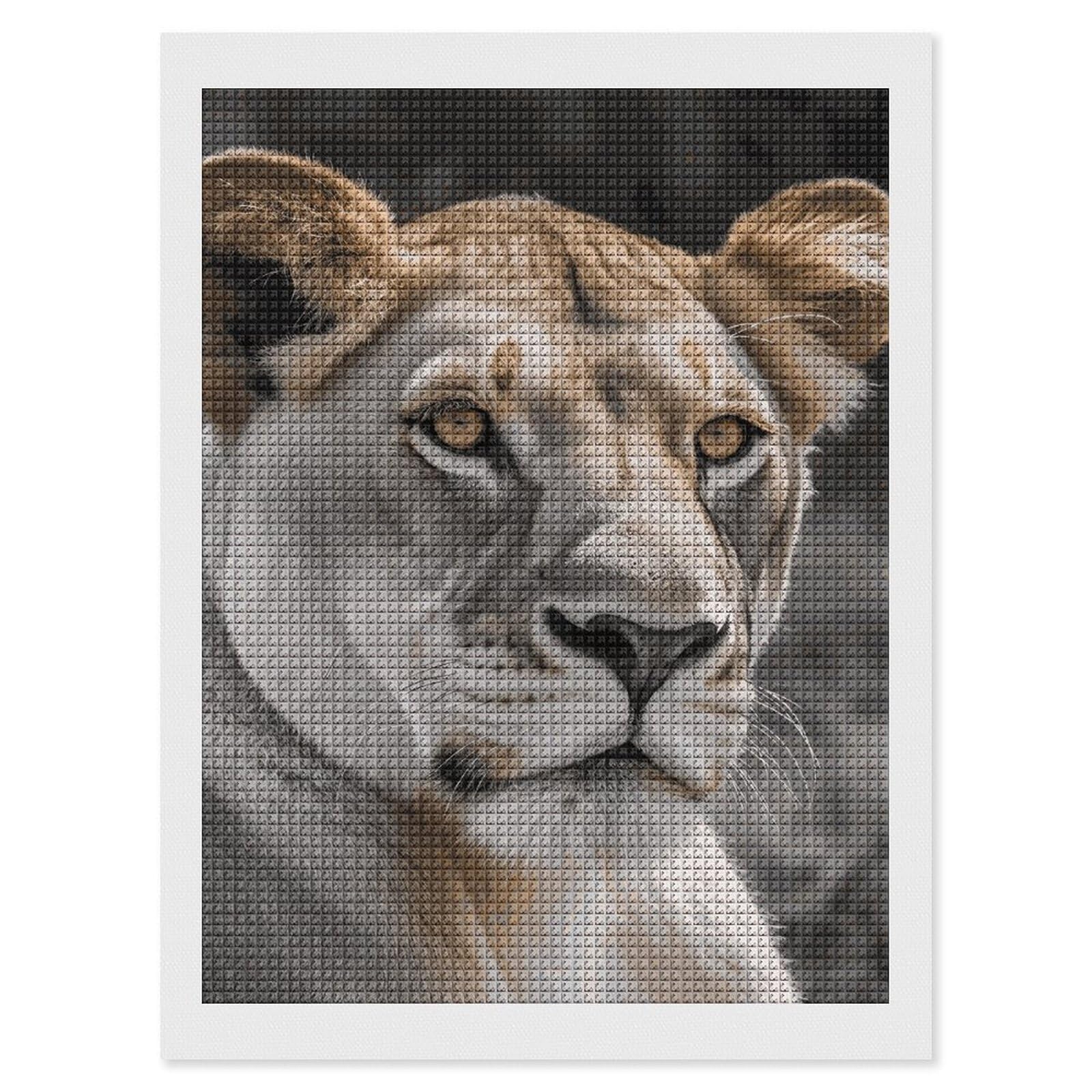 FodPand Lioness Diamond Painting Kits for Adults Beginners 12x16 Full Drill Diamond Art with DIY Tools Square 5D Diamonds Dots Crafts Gem Art Paint by Diamonds for Home Wall Decor Relaxing Gift