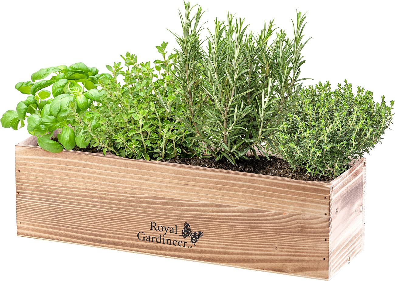 Royal Gardineer Pflanzen Anzuchtkits: 4er-Set Geschenkboxen Anzuchtsets italienische Kräuter (Pflanzen Samen Set, Starter, Gewürz)
